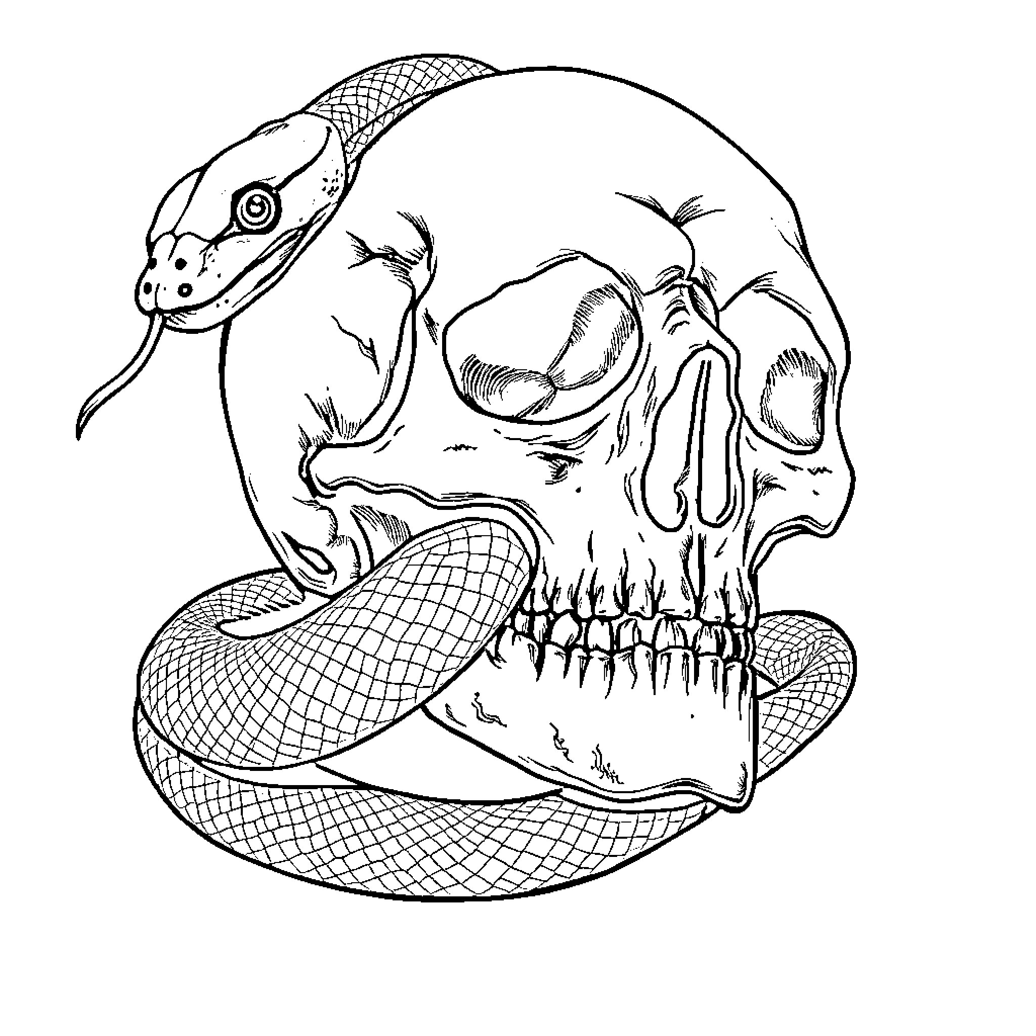 Snake Wrapped Around Skull in Creepy Illustration Coloring Page (free black-and-white line drawing printable PDF for all, from beginners to advanced learners, including children, teens, adults, and seniors)