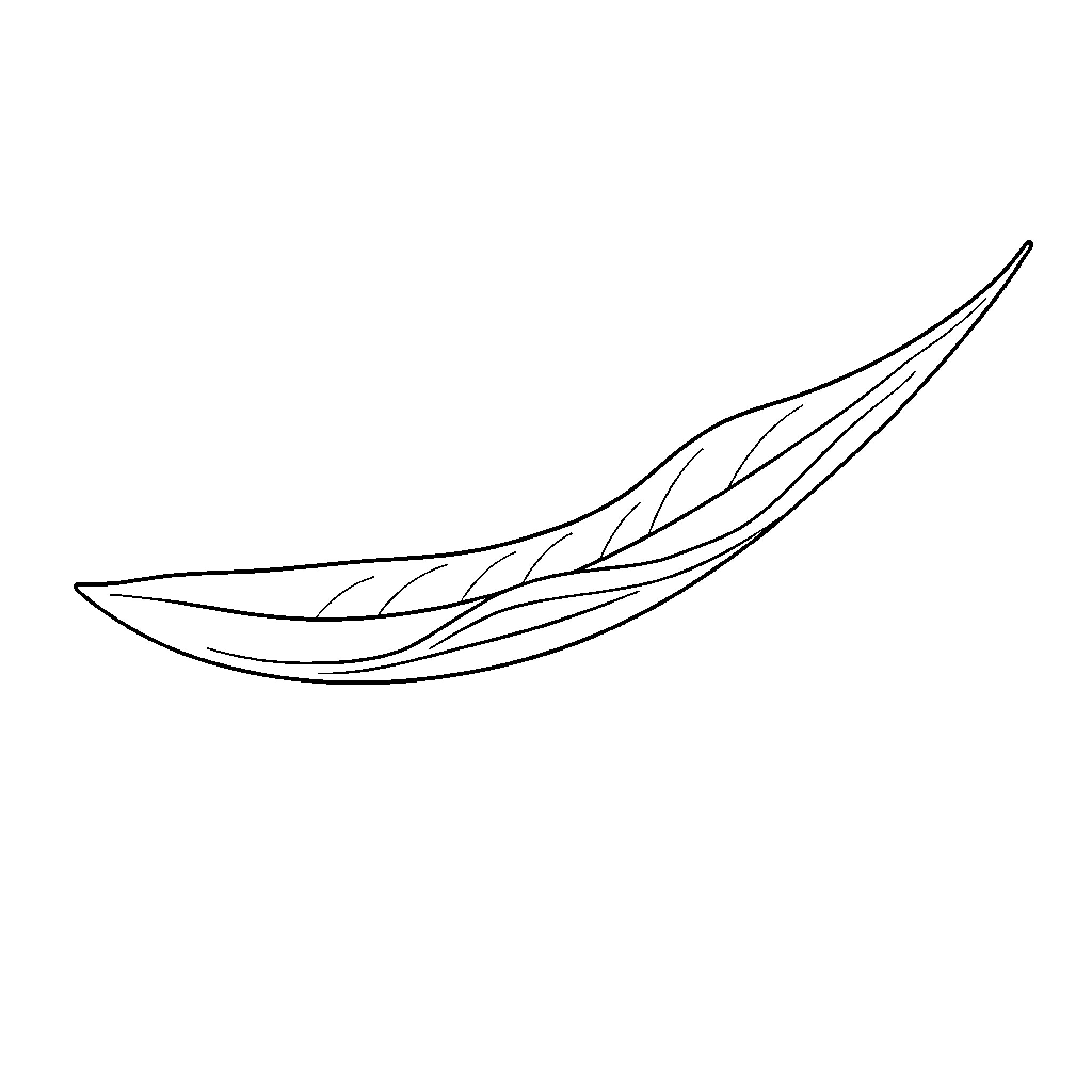 Leaf floating elegantly on water Coloring Page (free black-and-white line drawing printable PDF for all, from beginners to advanced learners, including children, teens, adults, and seniors)