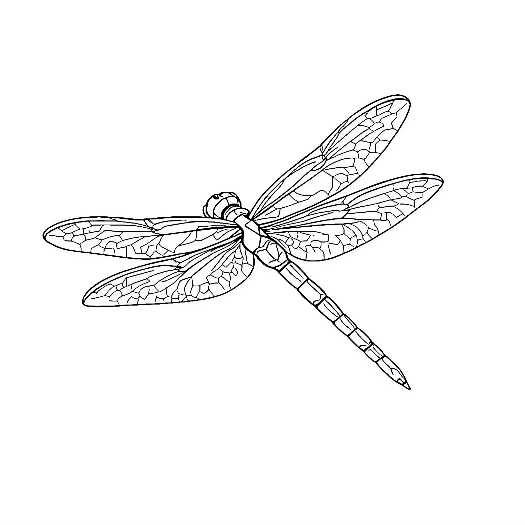 Dragonfly with delicate transparent wings Coloring Page (free black-and-white line drawing printable PDF for all, from beginners to advanced learners, including children, teens, adults, and seniors)