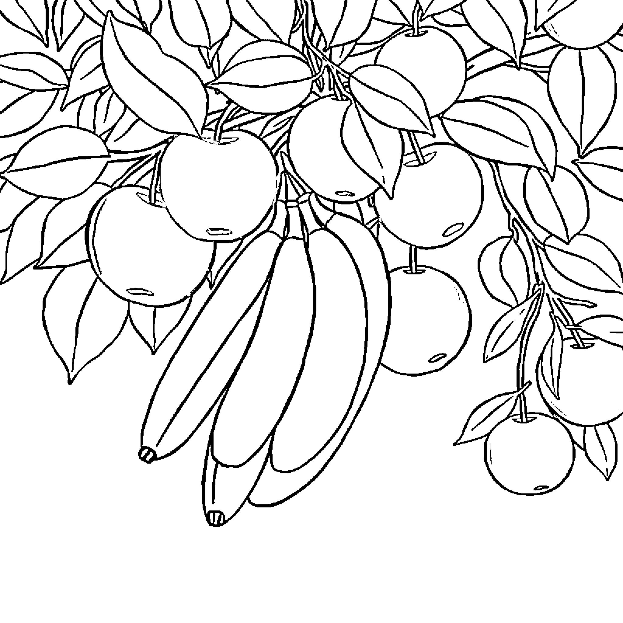 Fruit Abundance in Foliage Coloring Page (free black-and-white line drawing printable PDF for all, from beginners to advanced learners, including children, teens, adults, and seniors)