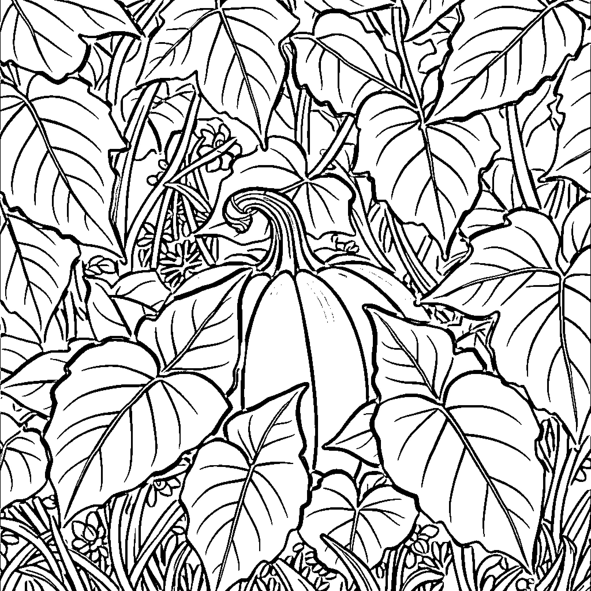 Pumpkin in a lush, tropical foliage Coloring Page (free black-and-white line drawing printable PDF for all, from beginners to advanced learners, including children, teens, adults, and seniors)
