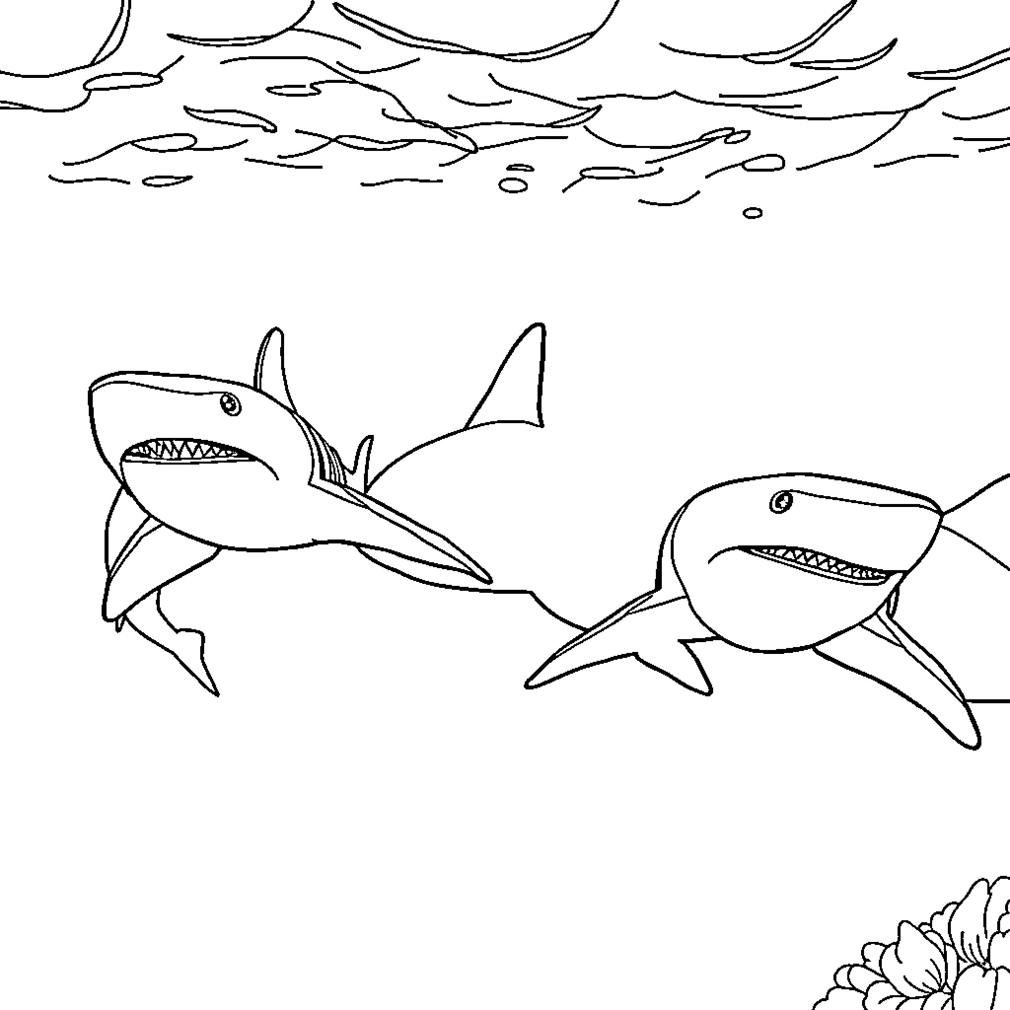 Shark chasing prey in the ocean Coloring Page (free black-and-white line drawing printable PDF for all, from beginners to advanced learners, including children, teens, adults, and seniors)