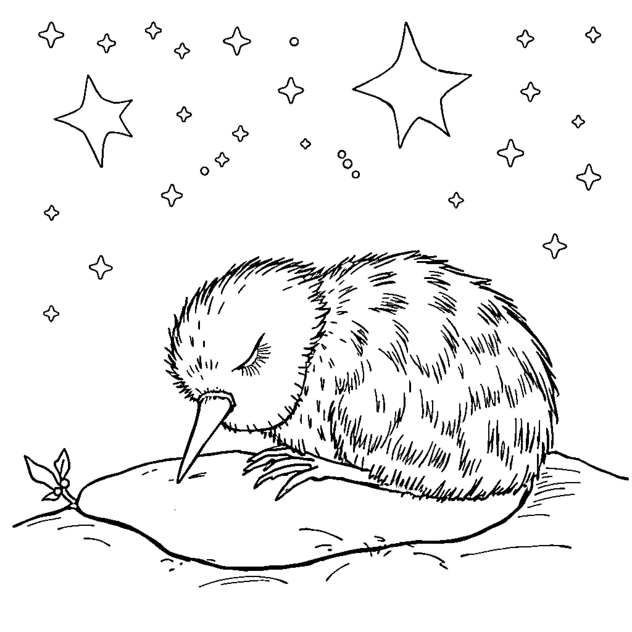 Kiwi bird sleeping amidst twinkling stars Coloring Page (free black-and-white line drawing printable PDF for all, from beginners to advanced learners, including children, teens, adults, and seniors)
