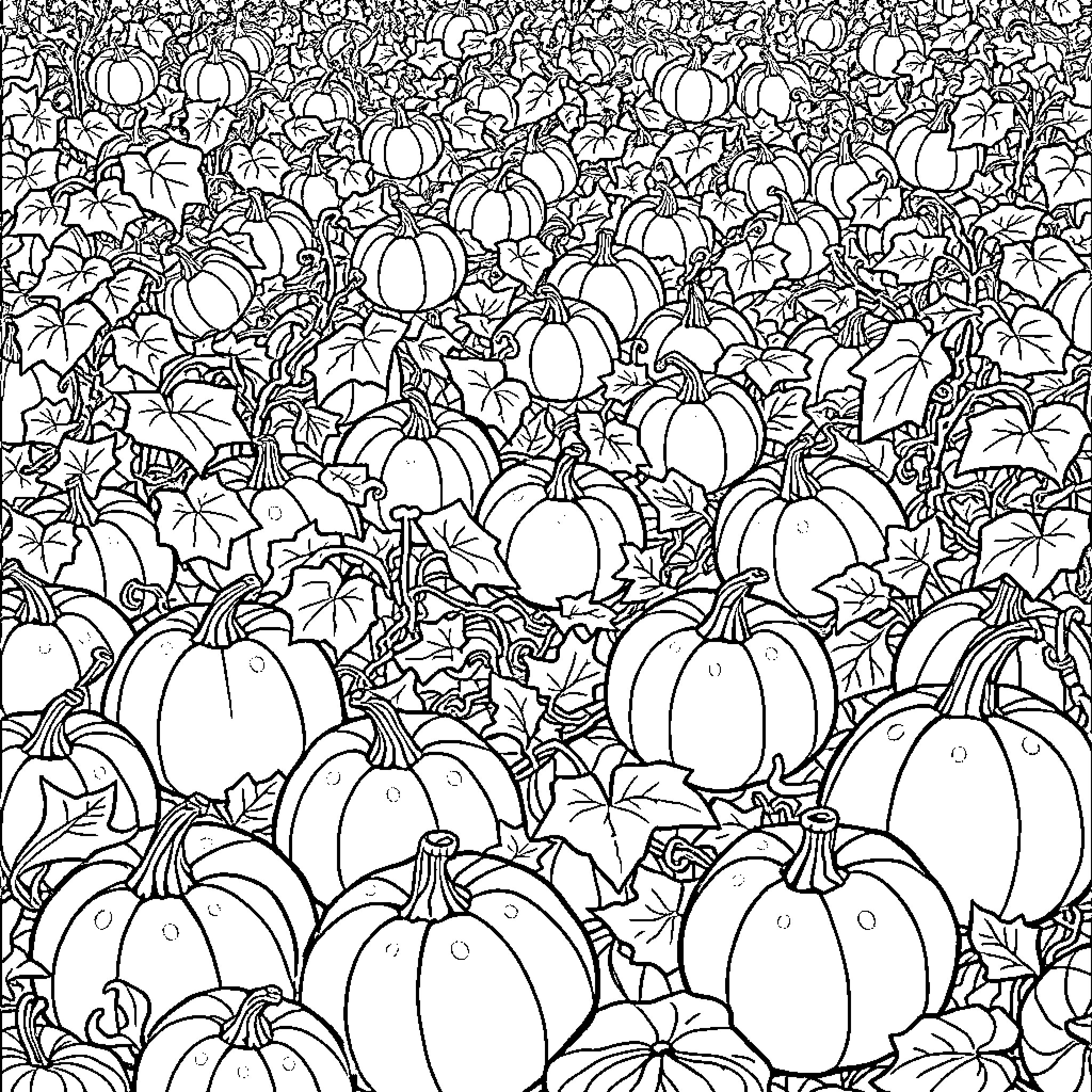 Pumpkin patch filled with various pumpkins Coloring Page (free black-and-white line drawing printable PDF for all, from beginners to advanced learners, including children, teens, adults, and seniors)