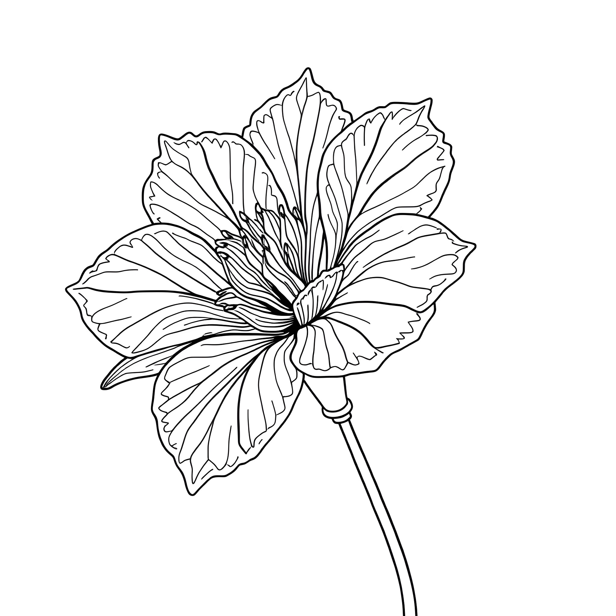Flower with detailed petals and stamen Coloring Page (free black-and-white line drawing printable PDF for all, from beginners to advanced learners, including children, teens, adults, and seniors)