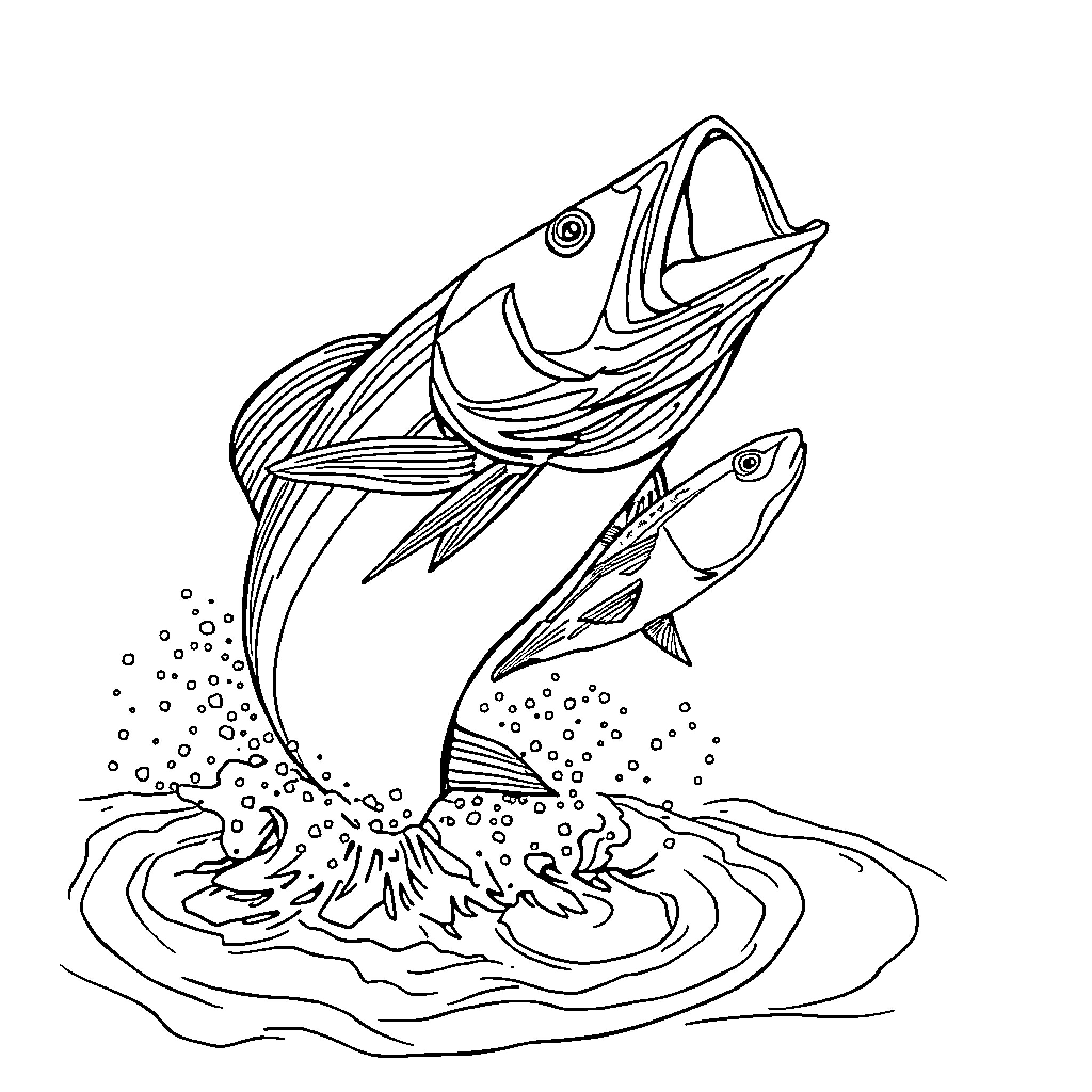 Tarpon jumping out of the water Coloring Page (free black-and-white line drawing printable PDF for all, from beginners to advanced learners, including children, teens, adults, and seniors)