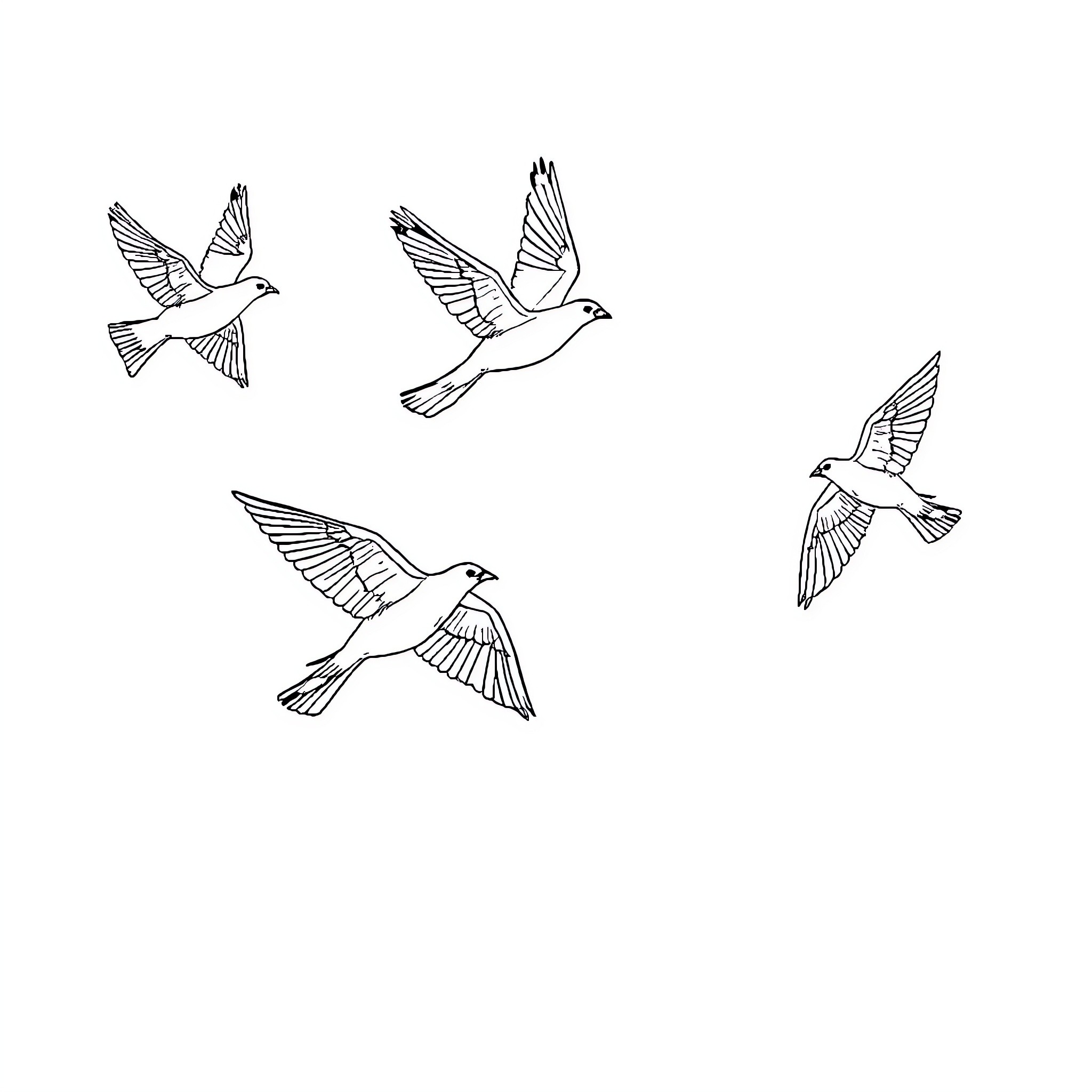 Birds soaring gracefully in the sky Coloring Page (free black-and-white line drawing printable PDF for all, from beginners to advanced learners, including children, teens, adults, and seniors)