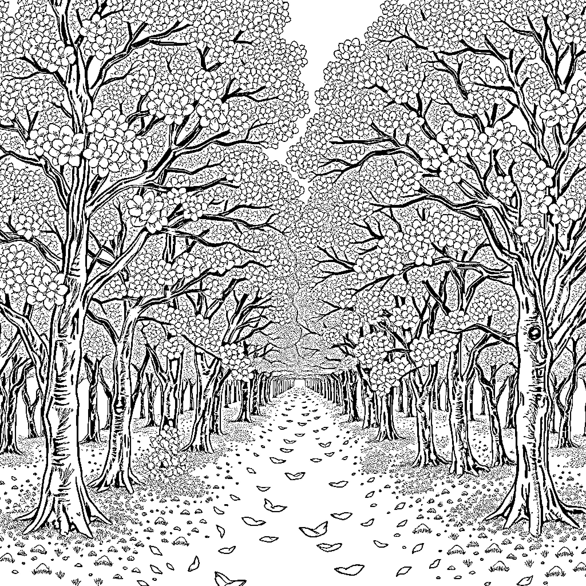 Sakura-Covered Path Through the Forest Coloring Page (free black-and-white line drawing printable PDF for all, from beginners to advanced learners, including children, teens, adults, and seniors)