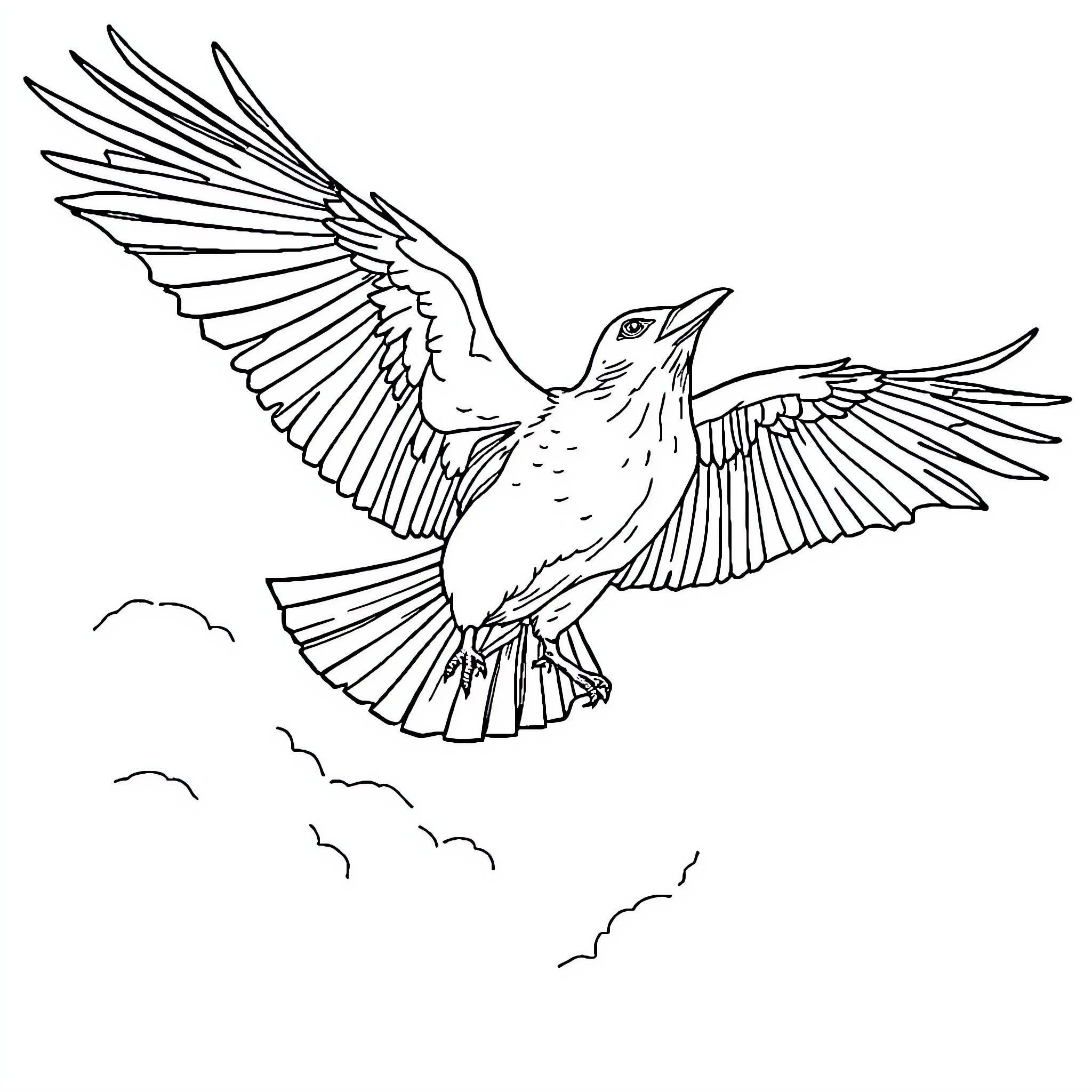 Raven spreading its wings in flight Coloring Page (free black-and-white line drawing printable PDF for all, from beginners to advanced learners, including children, teens, adults, and seniors)
