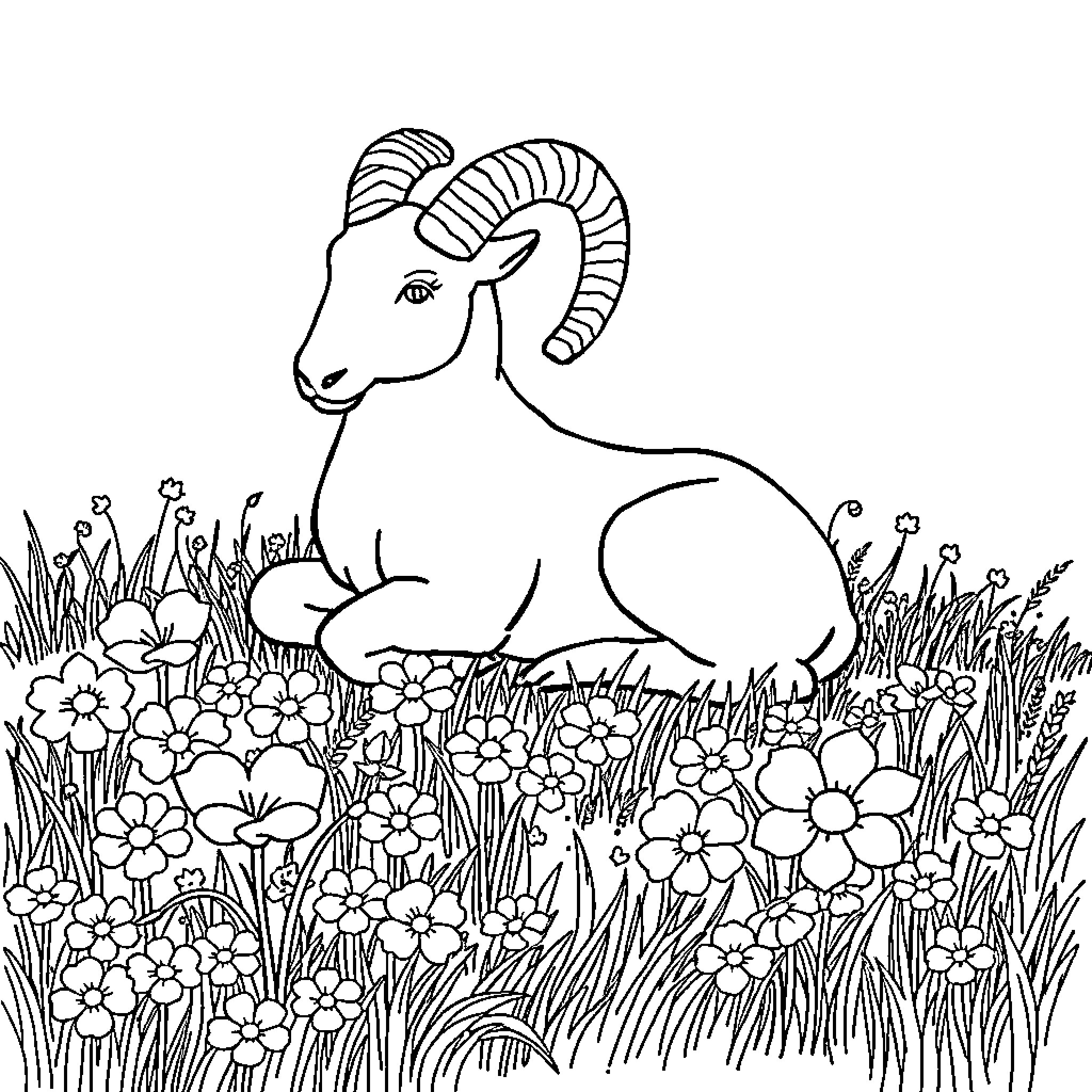 Aries resting peacefully among spring flowers Coloring Page (free black-and-white line drawing printable PDF for all, from beginners to advanced learners, including children, teens, adults, and seniors)