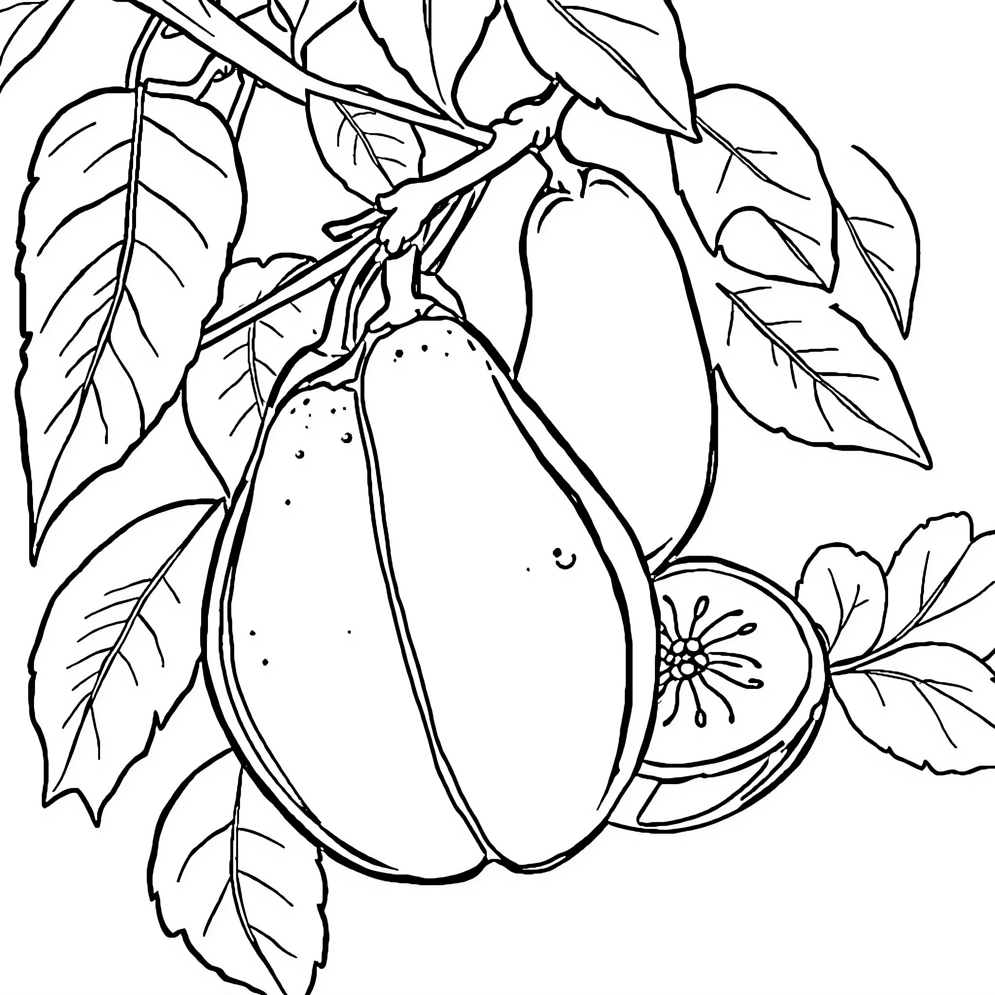 Fruit and Vegetable Harvest Scene Coloring Page (free black-and-white line drawing printable PDF for all, from beginners to advanced learners, including children, teens, adults, and seniors)