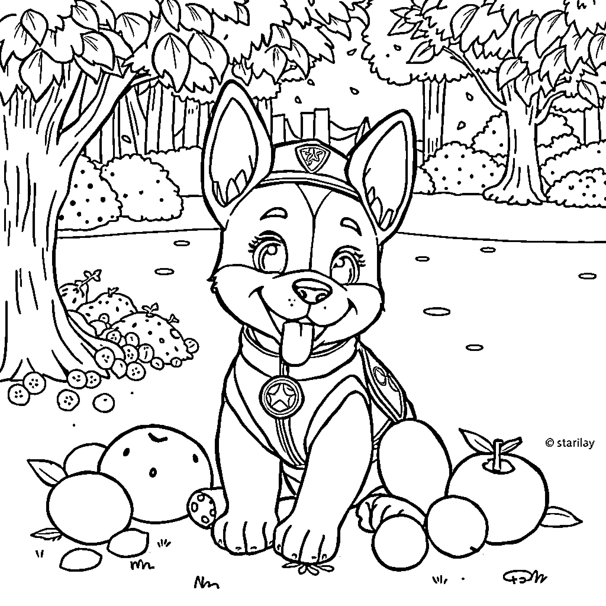 Paw Patrol Pup Exploring the Outdoors Coloring Page (free black-and-white line drawing printable PDF for all, from beginners to advanced learners, including children, teens, adults, and seniors)