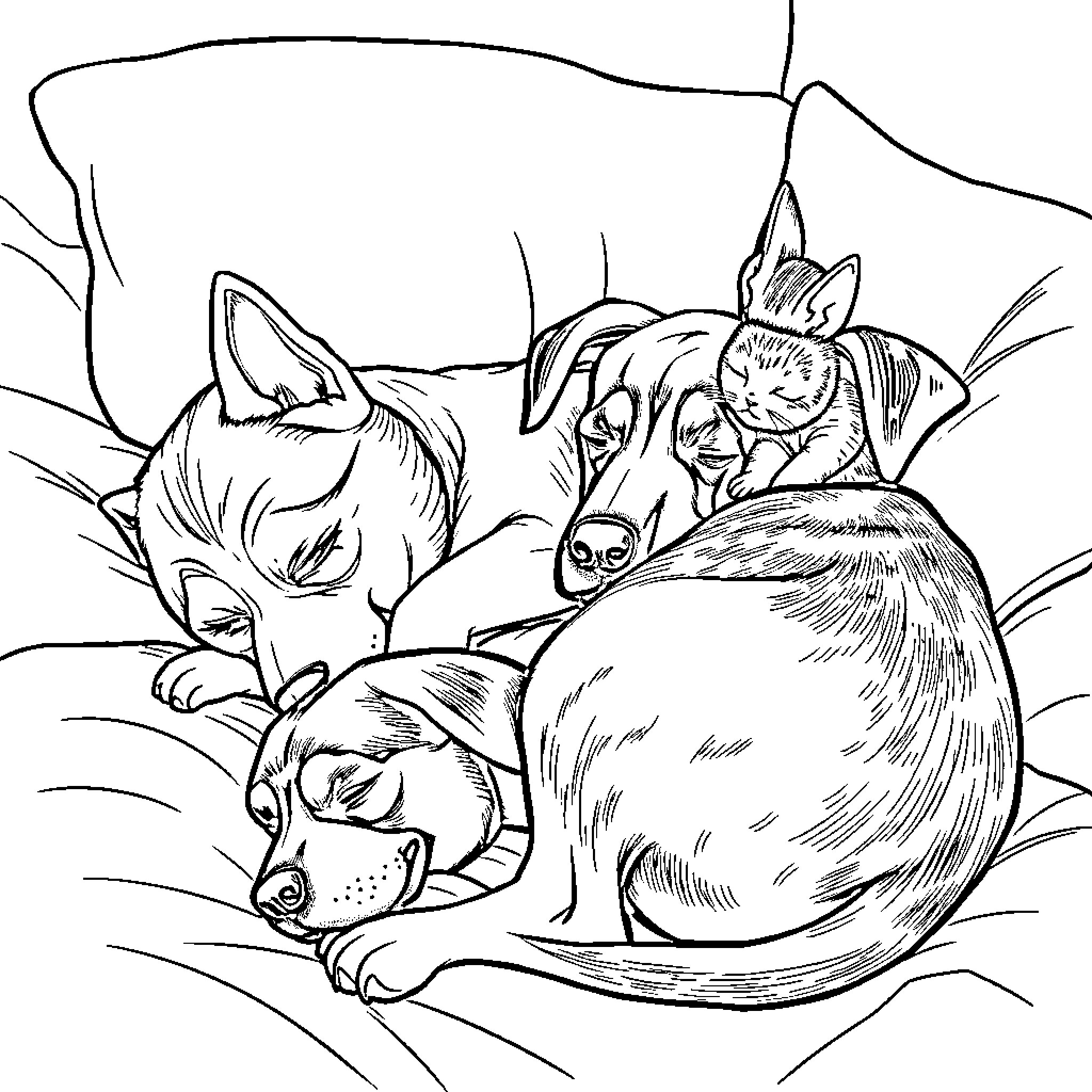 Puppy and kittens cuddling together Coloring Page (free black-and-white line drawing printable PDF for all, from beginners to advanced learners, including children, teens, adults, and seniors)