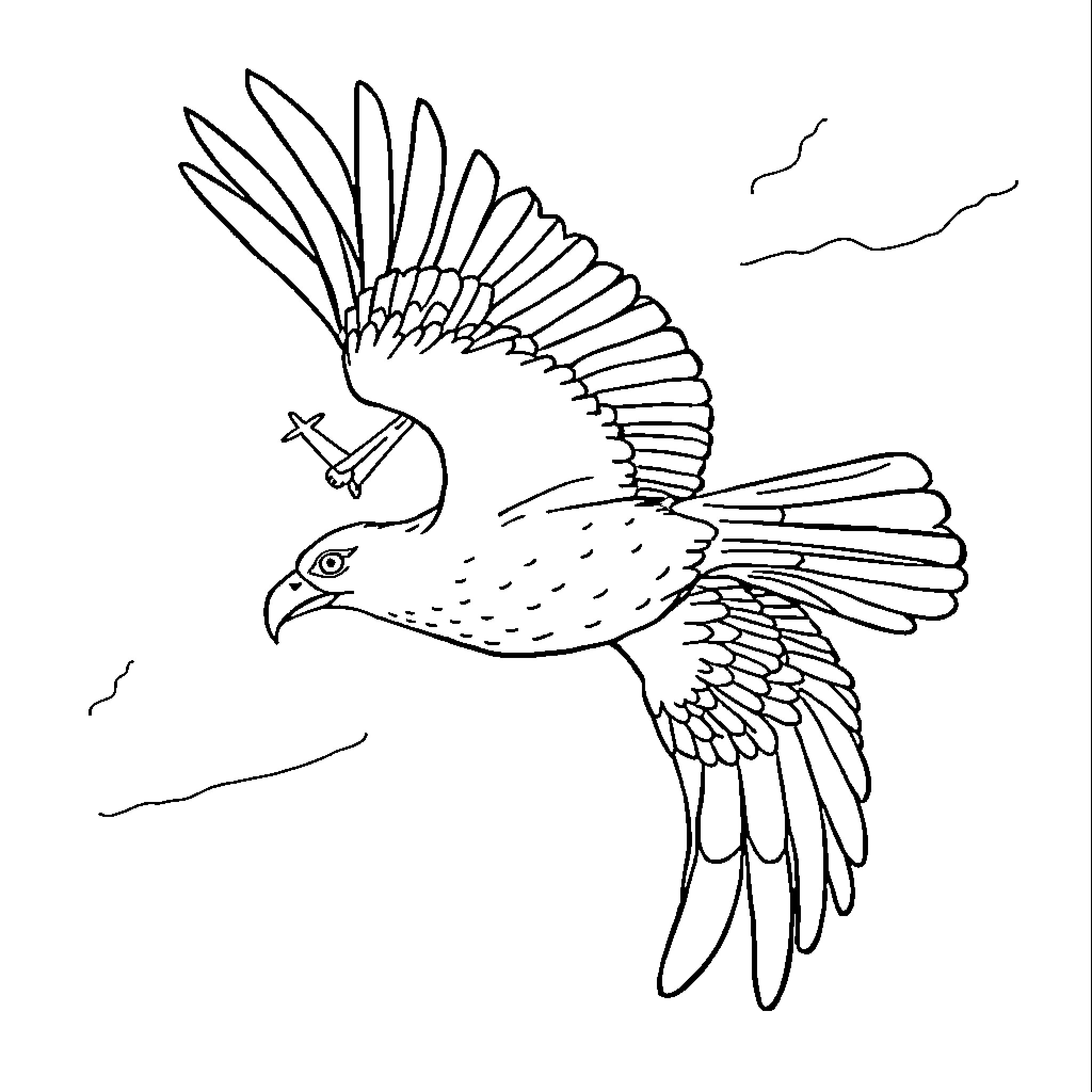 Captain America Flying Bird in Action Coloring Page (free black-and-white line drawing printable PDF for all, from beginners to advanced learners, including children, teens, adults, and seniors)