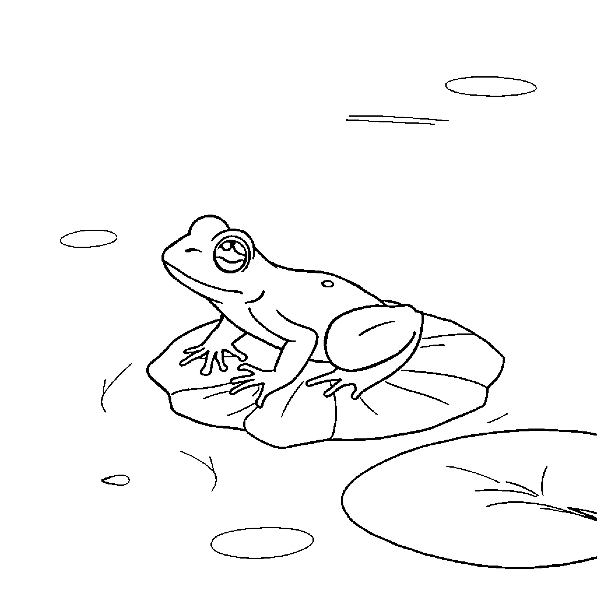 Frog resting peacefully on lily pad Coloring Page (free black-and-white line drawing printable PDF for all, from beginners to advanced learners, including children, teens, adults, and seniors)