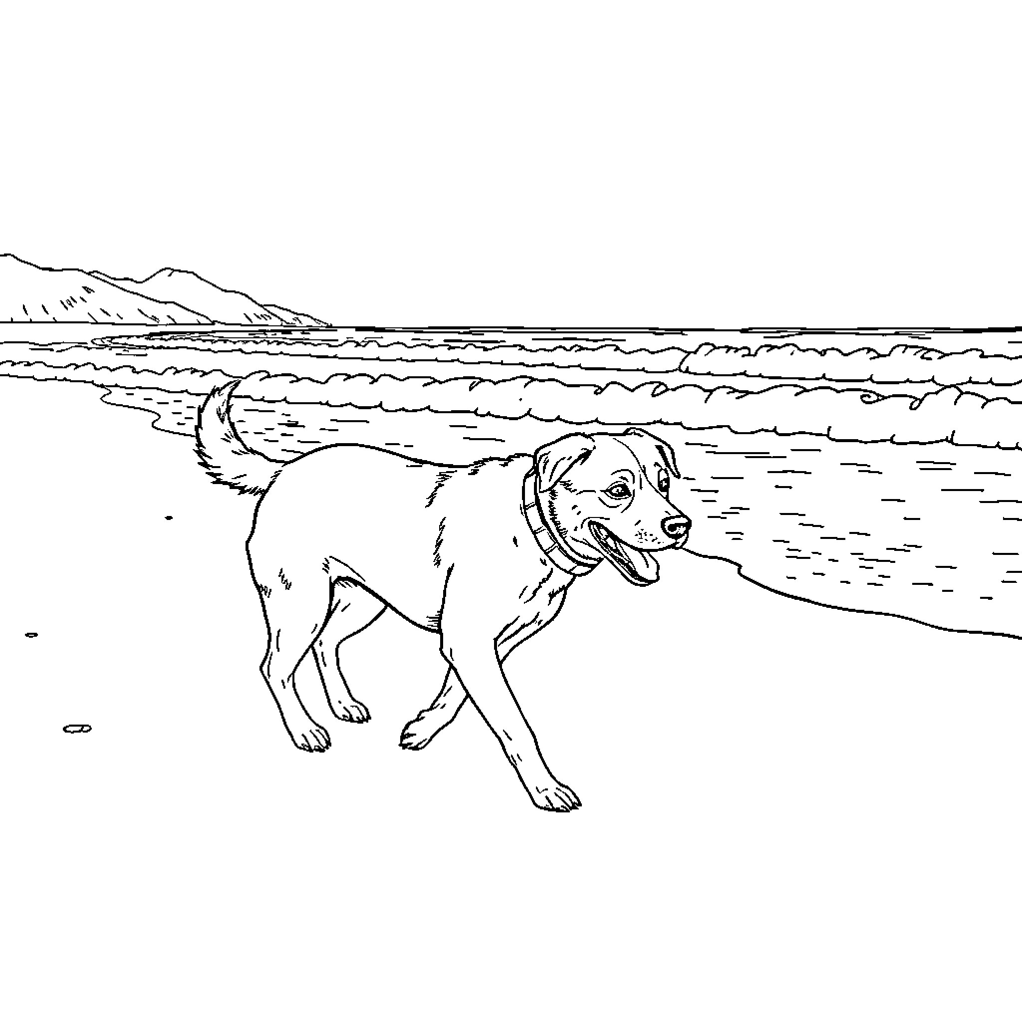 Dog enjoying a beach day Coloring Page (free black-and-white line drawing printable PDF for all, from beginners to advanced learners, including children, teens, adults, and seniors)