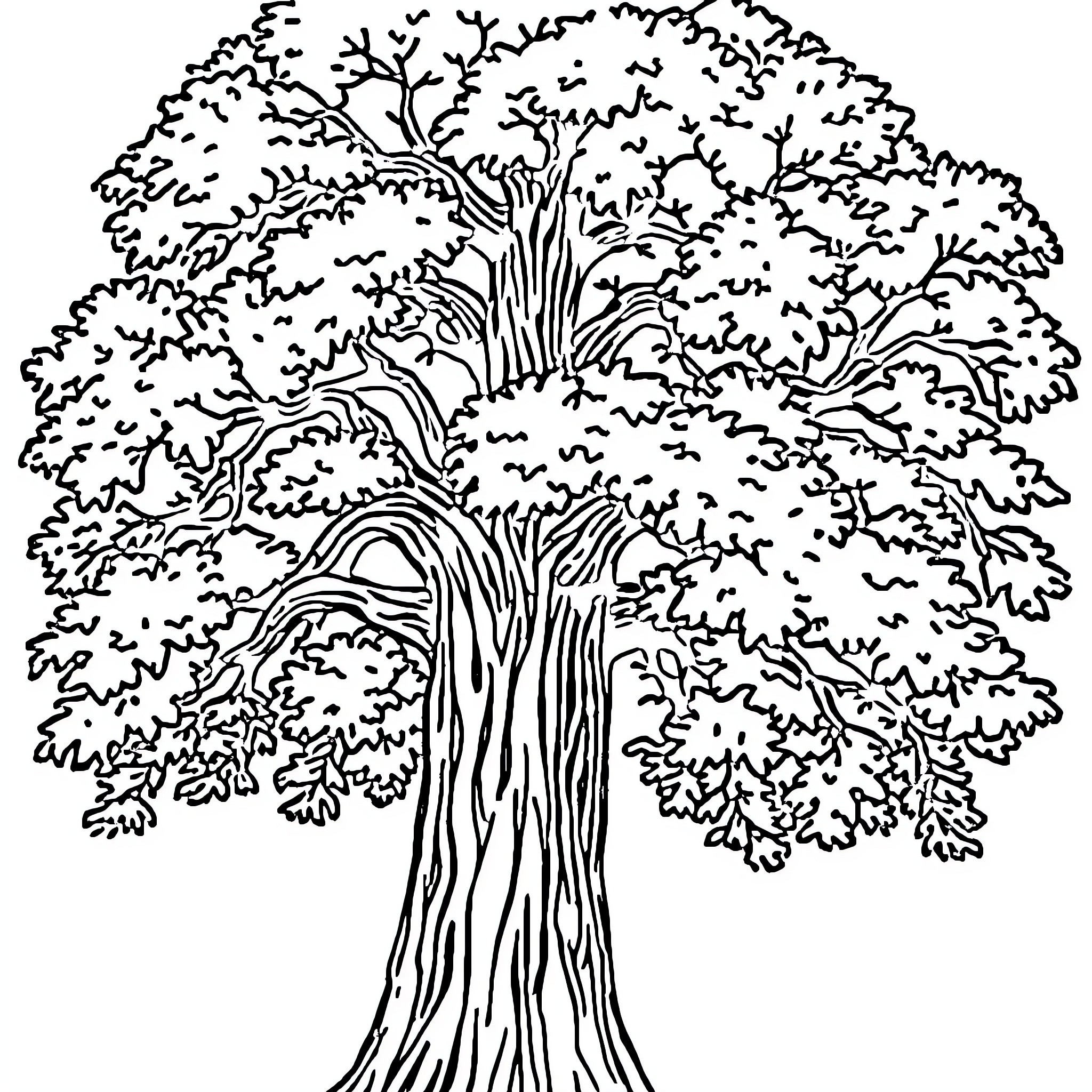 Oak Tree with Intricate Branches and Foliage Coloring Page (free black-and-white line drawing printable PDF for all, from beginners to advanced learners, including children, teens, adults, and seniors)