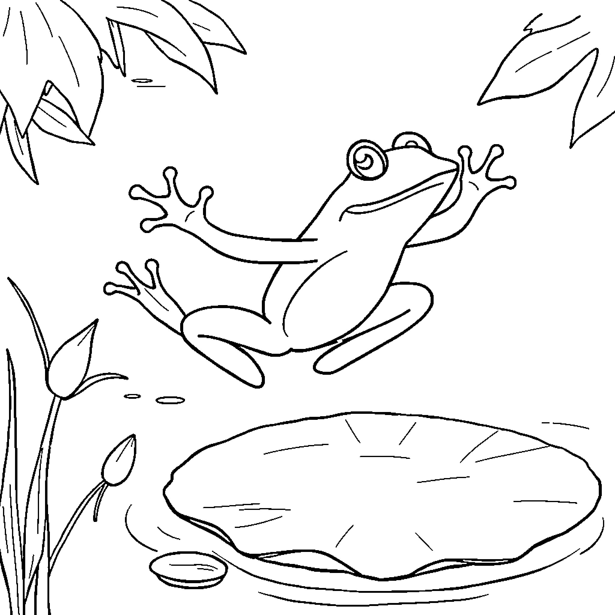 Frog leaping on lily pad in nature Coloring Page (free black-and-white line drawing printable PDF for all, from beginners to advanced learners, including children, teens, adults, and seniors)