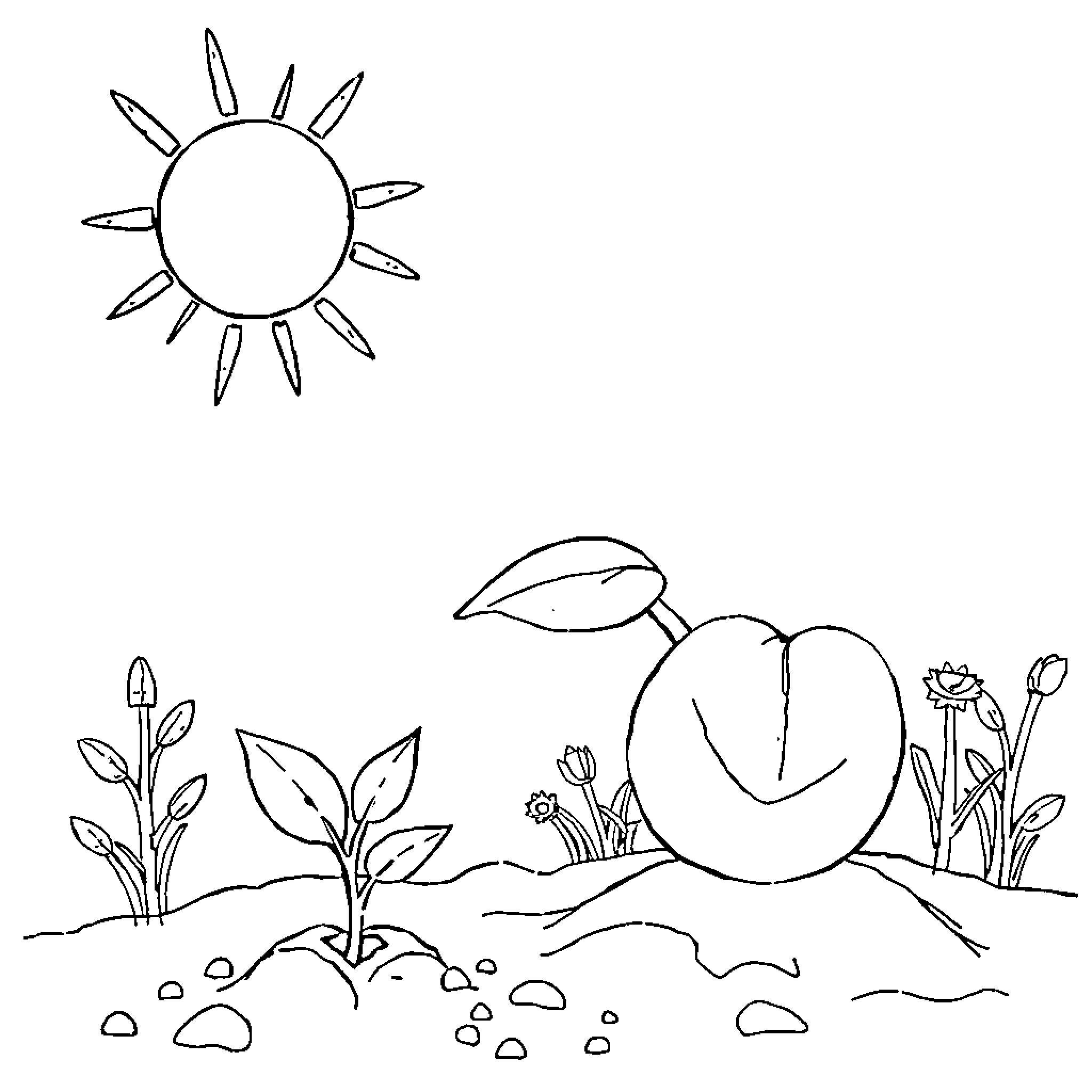 Plant growing in natural landscape Coloring Page (free black-and-white line drawing printable PDF for all, from beginners to advanced learners, including children, teens, adults, and seniors)