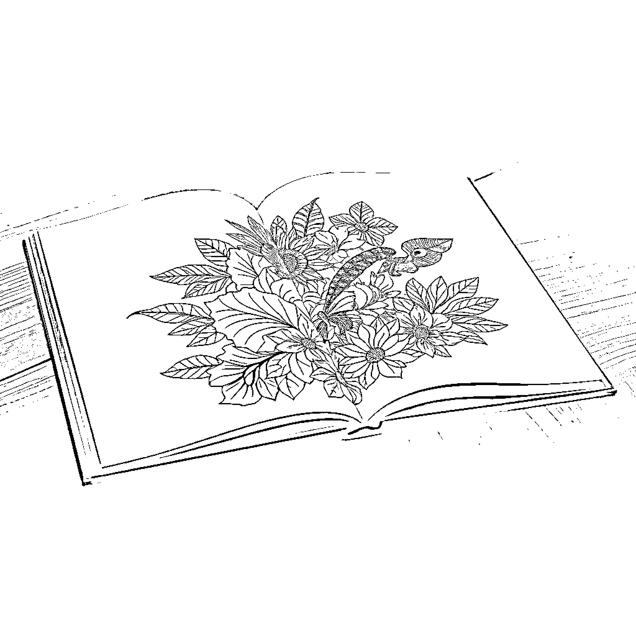 Book of Floral Illustrations Coloring Page (free black-and-white line drawing printable PDF for all, from beginners to advanced learners, including children, teens, adults, and seniors)