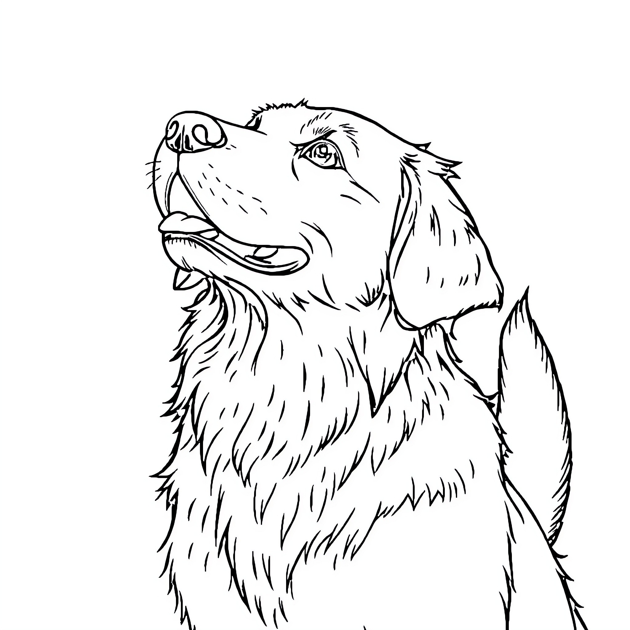 Golden Retriever's Joyful Expression Coloring Page (free black-and-white line drawing printable PDF for all, from beginners to advanced learners, including children, teens, adults, and seniors)