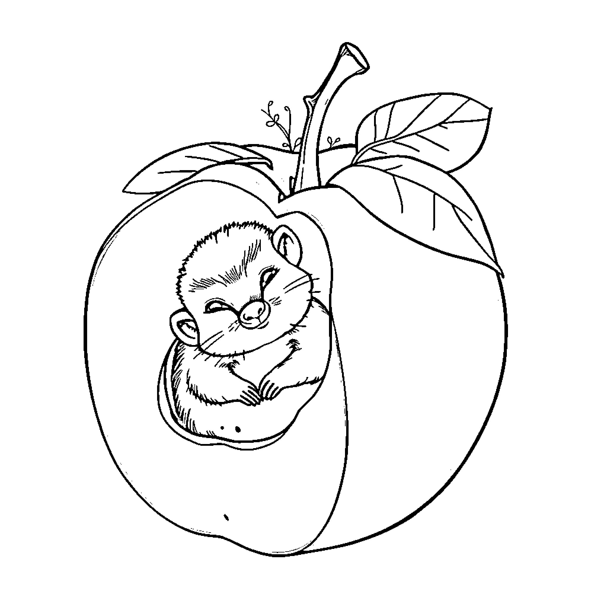 Manzana with Curious Animal Coloring Page (free black-and-white line drawing printable PDF for all, from beginners to advanced learners, including children, teens, adults, and seniors)