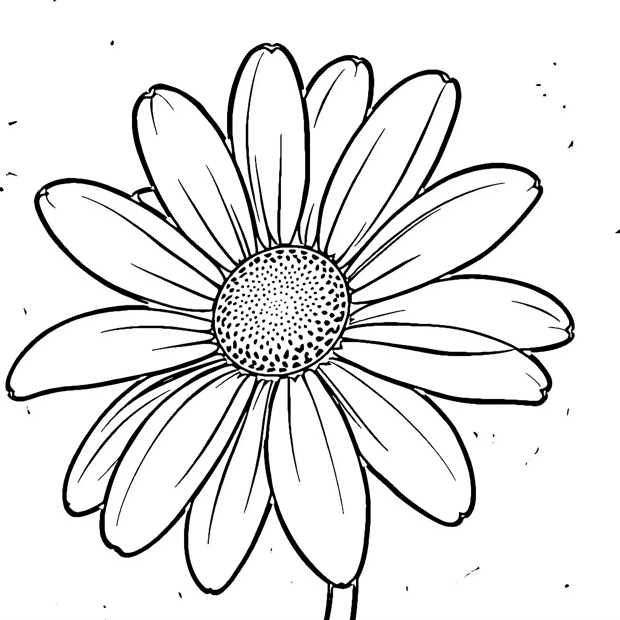 Daisy flower in black and white sketch Coloring Page (free black-and-white line drawing printable PDF for all, from beginners to advanced learners, including children, teens, adults, and seniors)