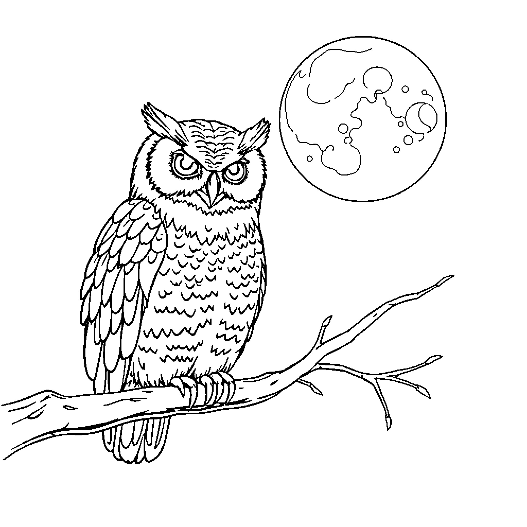 Owl perched under a moonlit sky Coloring Page (free black-and-white line drawing printable PDF for all, from beginners to advanced learners, including children, teens, adults, and seniors)