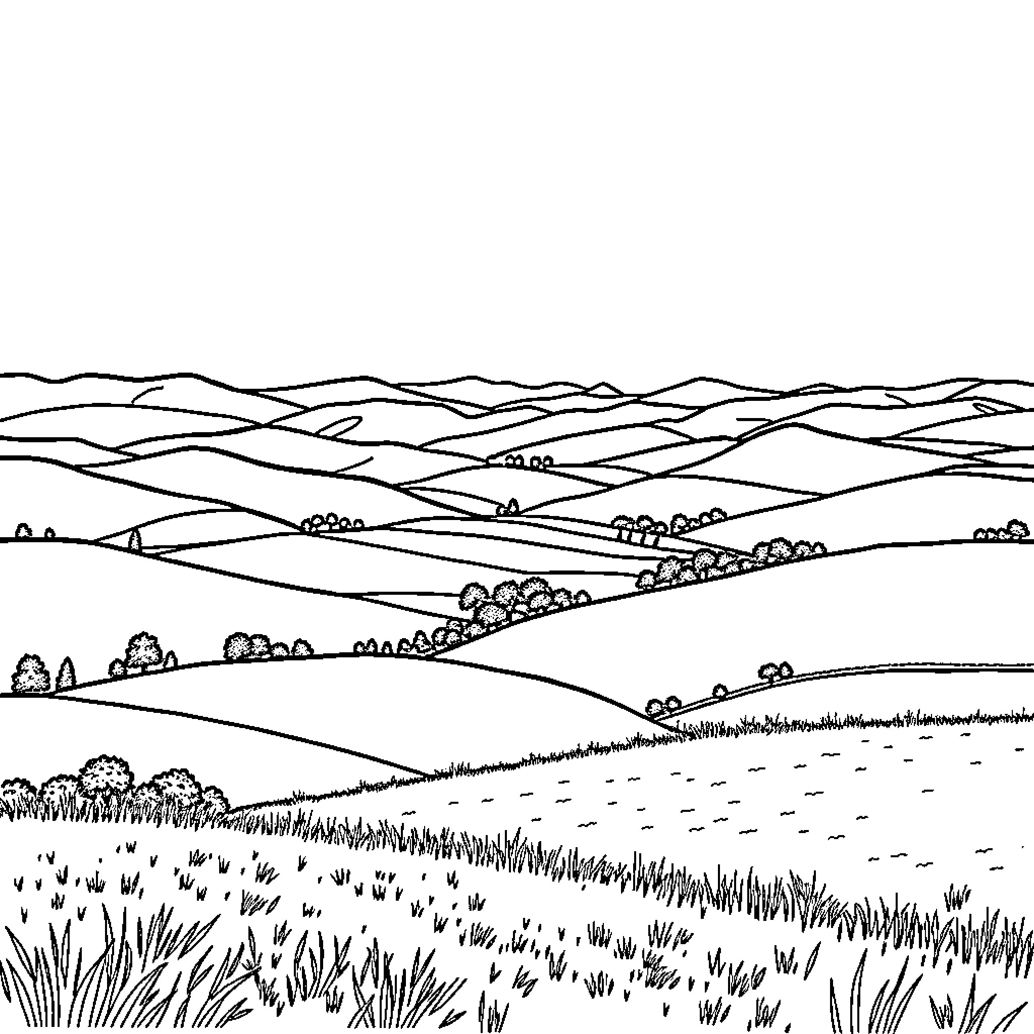 Landscape of hilly countryside with fields and forests Coloring Page (free black-and-white line drawing printable PDF for all, from beginners to advanced learners, including children, teens, adults, and seniors)