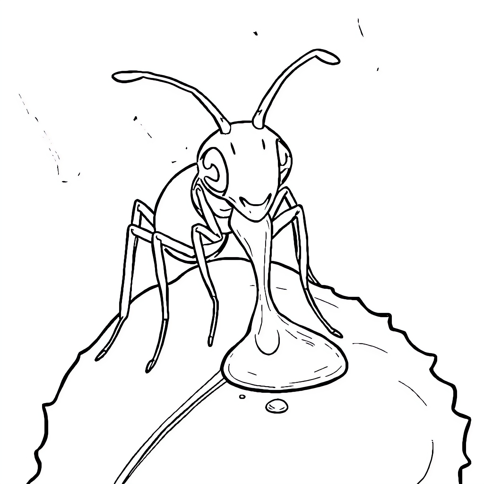 Ant exploring its surroundings Coloring Page (free black-and-white line drawing printable PDF for all, from beginners to advanced learners, including children, teens, adults, and seniors)