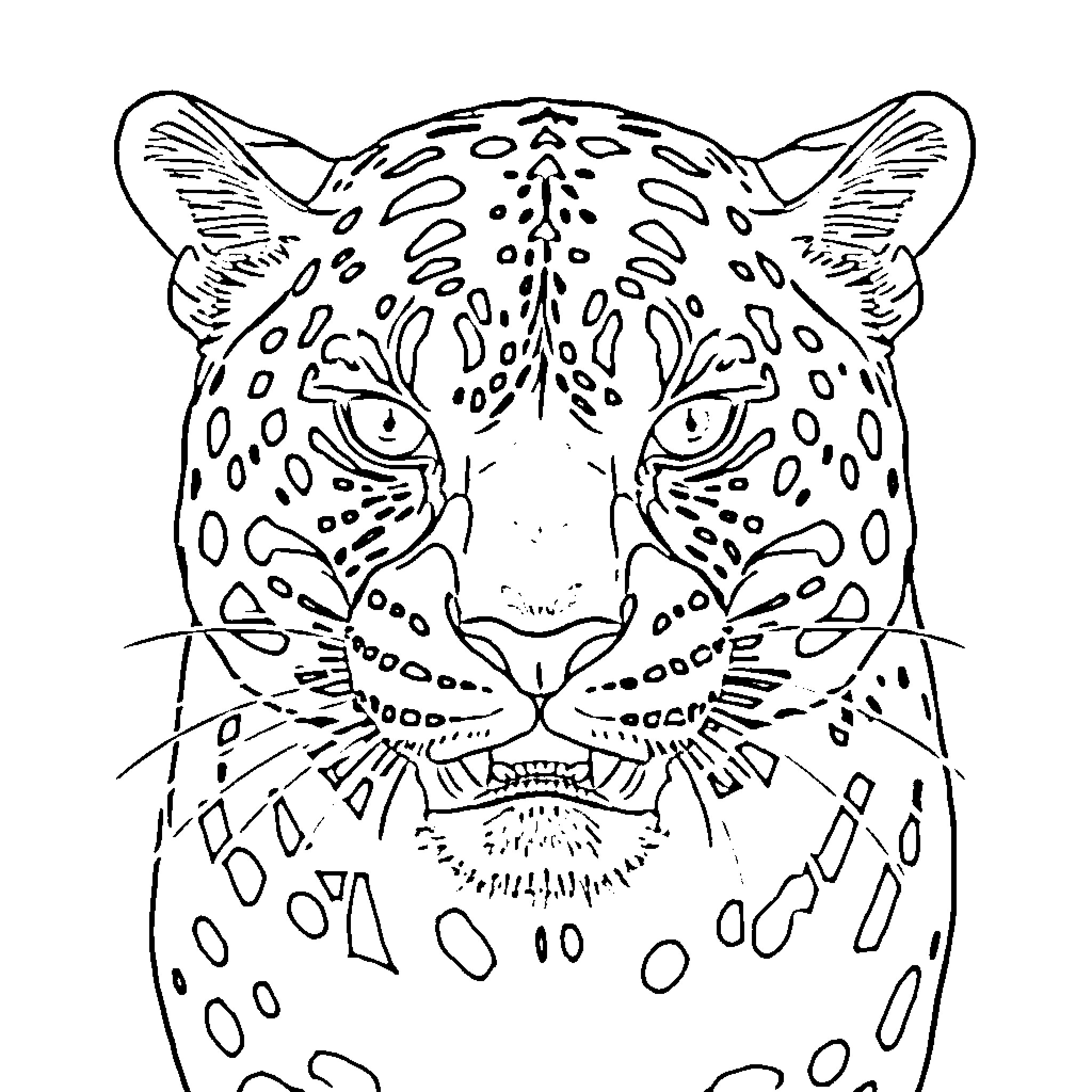 Jaguar stalking in the jungle Coloring Page (free black-and-white line drawing printable PDF for all, from beginners to advanced learners, including children, teens, adults, and seniors)