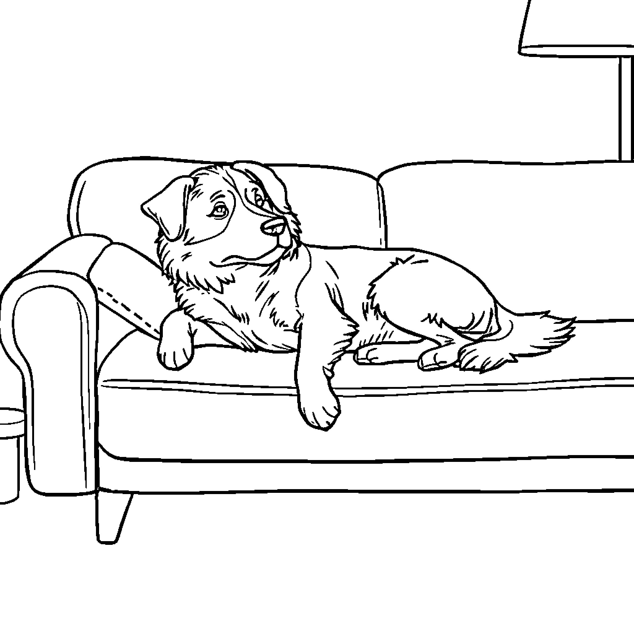 Whipper relaxing on the couch Coloring Page (free black-and-white line drawing printable PDF for all, from beginners to advanced learners, including children, teens, adults, and seniors)