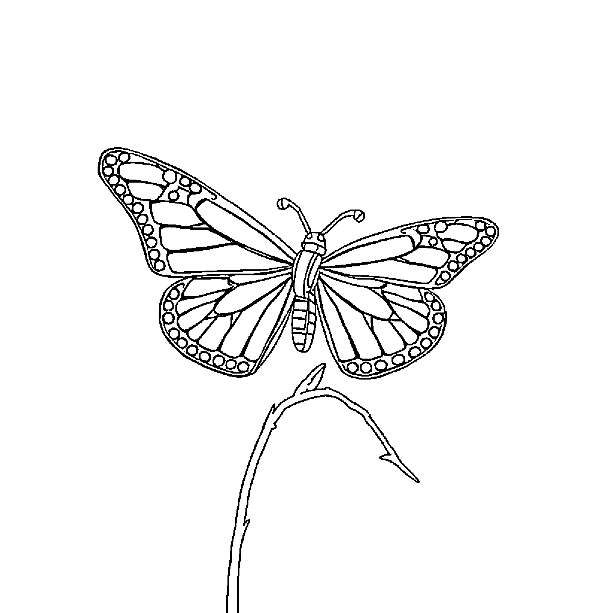 Butterfly resting on a twig Coloring Page (free black-and-white line drawing printable PDF for all, from beginners to advanced learners, including children, teens, adults, and seniors)