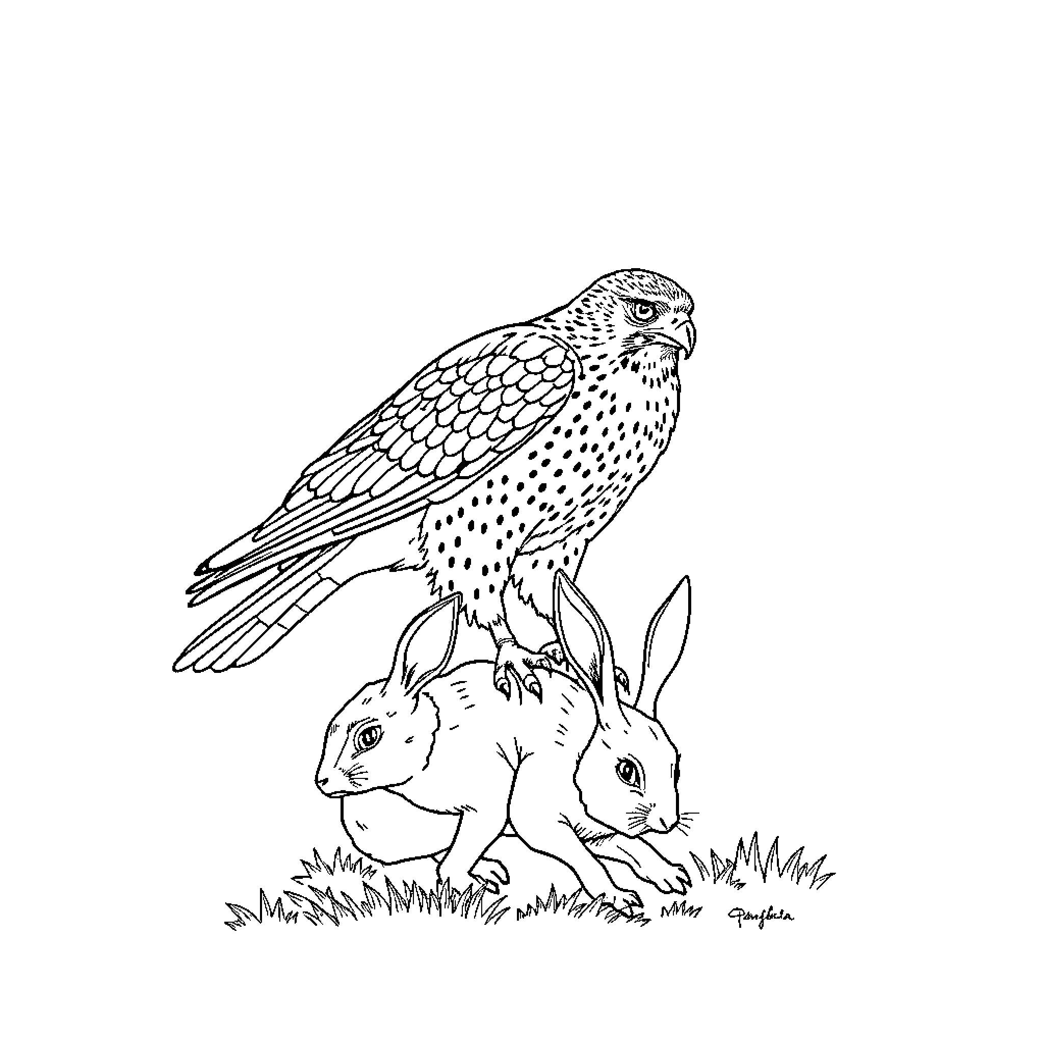 Hawk observing rabbits in the meadow Coloring Page (free black-and-white line drawing printable PDF for all, from beginners to advanced learners, including children, teens, adults, and seniors)