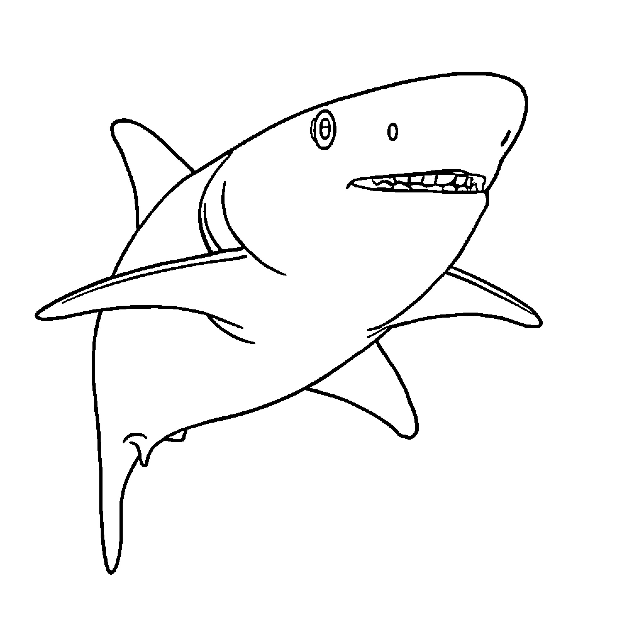 Shark swimming aggressively with open mouth Coloring Page (free black-and-white line drawing printable PDF for all, from beginners to advanced learners, including children, teens, adults, and seniors)