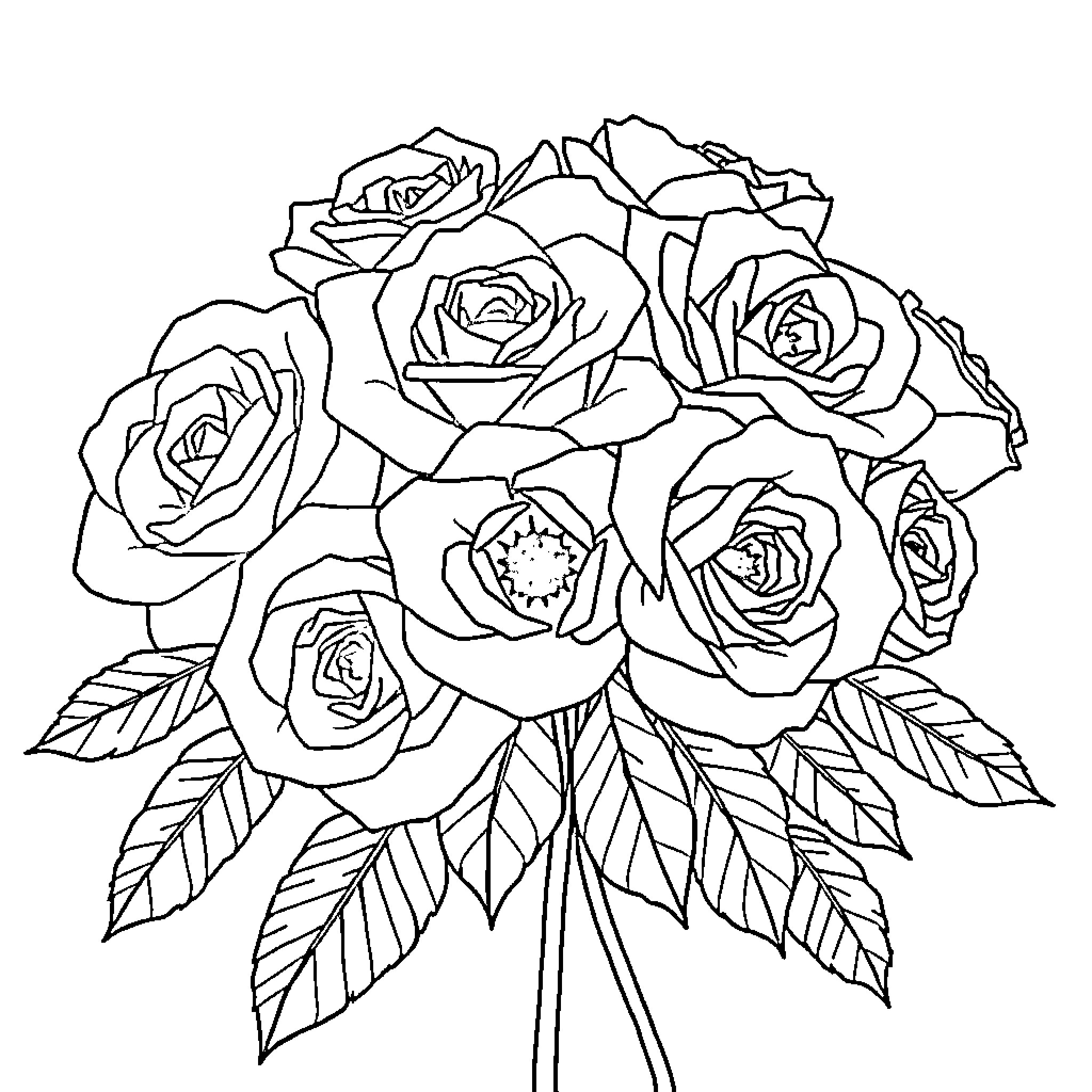 Rose bouquet with detailed floral design Coloring Page (free black-and-white line drawing printable PDF for all, from beginners to advanced learners, including children, teens, adults, and seniors)