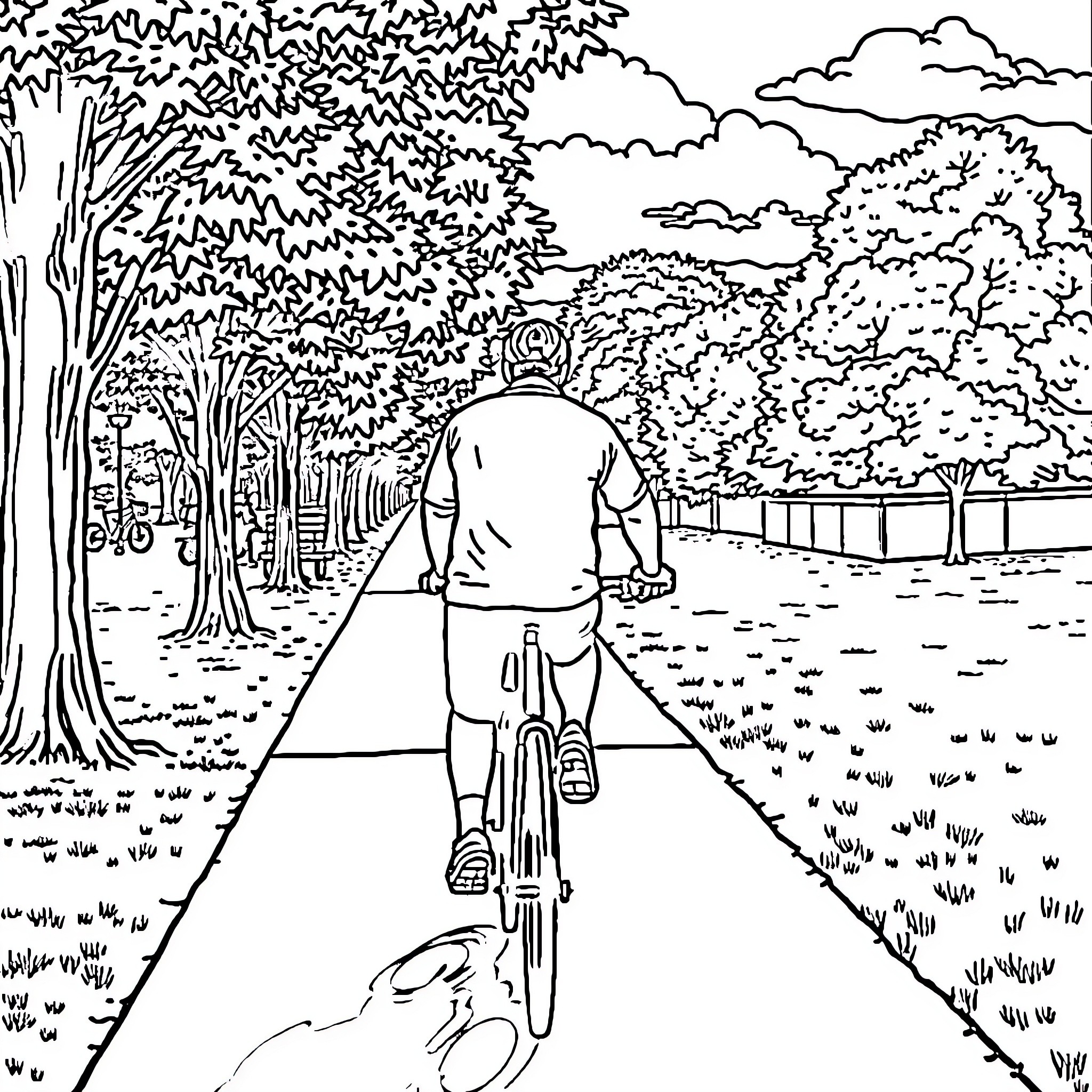 Man riding bicycle on a path through a lush forest Coloring Page (free black-and-white line drawing printable PDF for all, from beginners to advanced learners, including children, teens, adults, and seniors)