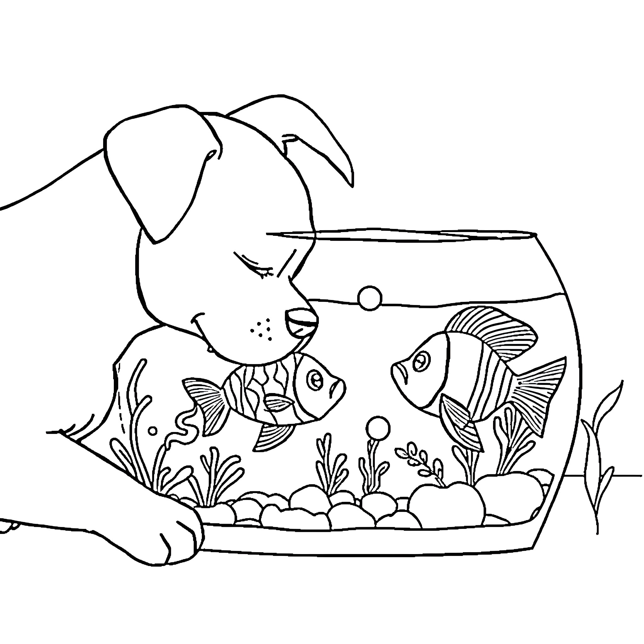 Dog observing colorful fish in aquarium Coloring Page (free black-and-white line drawing printable PDF for all, from beginners to advanced learners, including children, teens, adults, and seniors)
