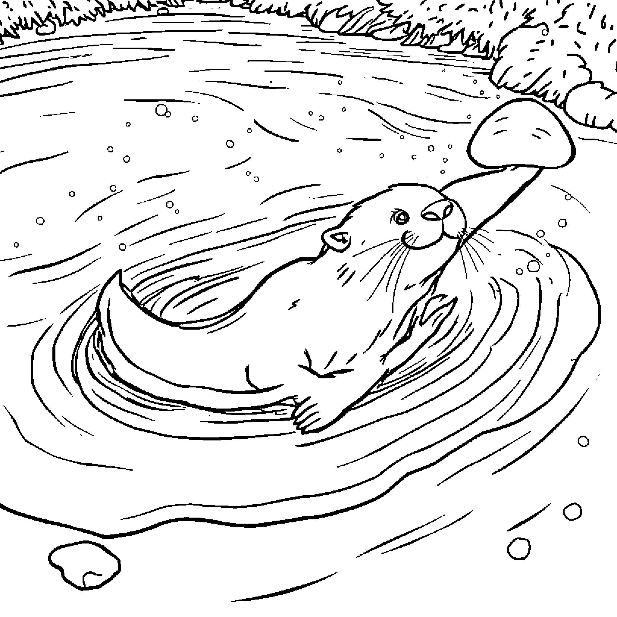 Otter floating playfully in the water Coloring Page (free black-and-white line drawing printable PDF for all, from beginners to advanced learners, including children, teens, adults, and seniors)