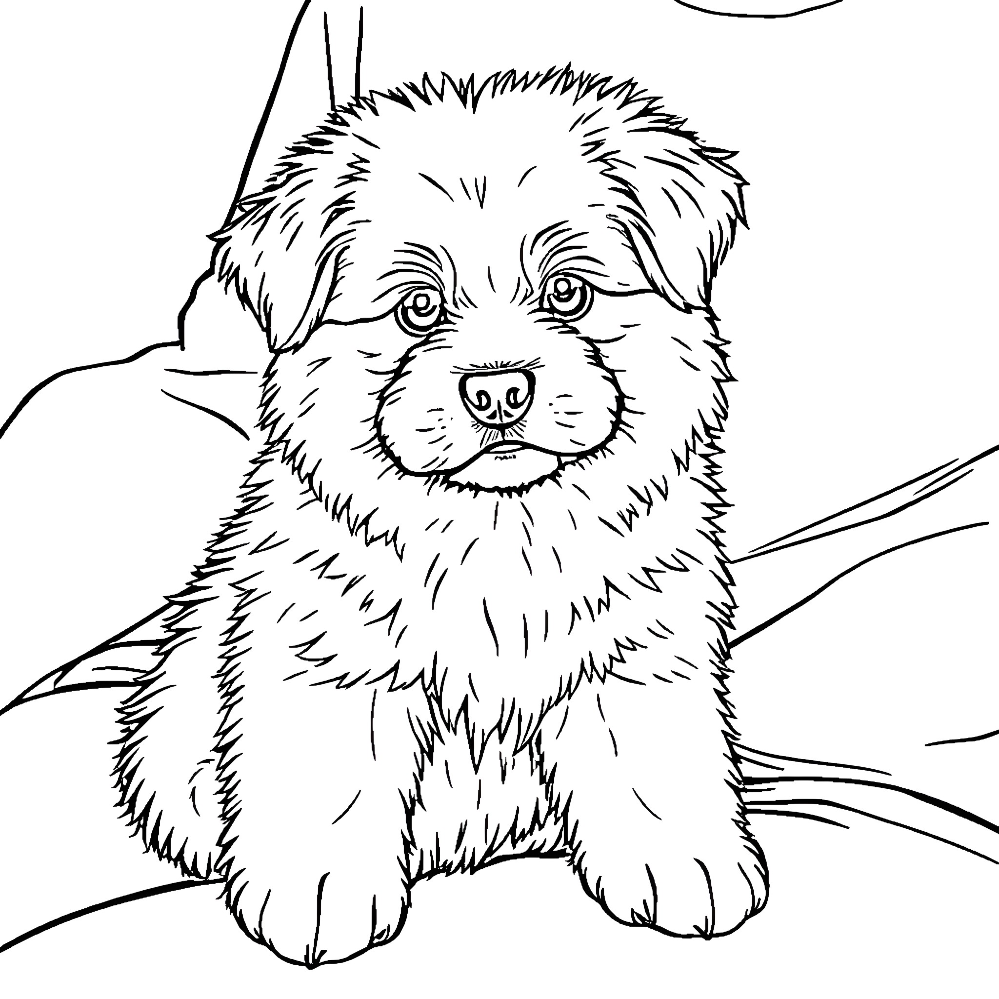Dog sitting in the grass Coloring Page (free black-and-white line drawing printable PDF for all, from beginners to advanced learners, including children, teens, adults, and seniors)