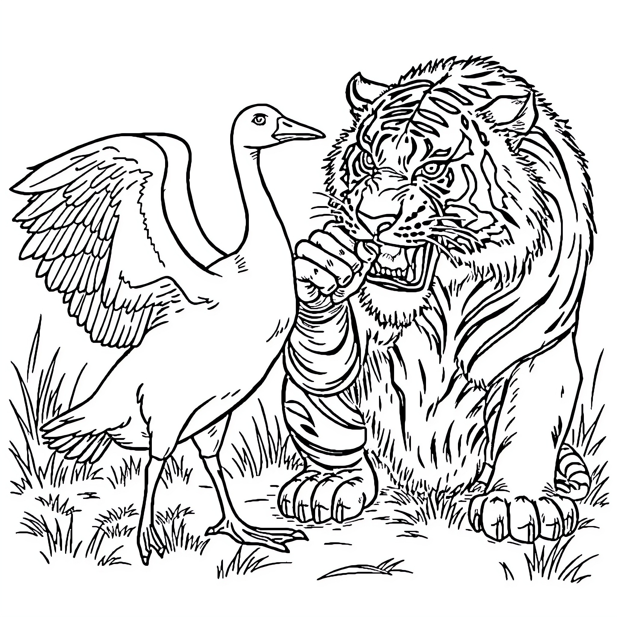 Goose and Tiger Encounter in the Wild Coloring Page (free black-and-white line drawing printable PDF for all, from beginners to advanced learners, including children, teens, adults, and seniors)