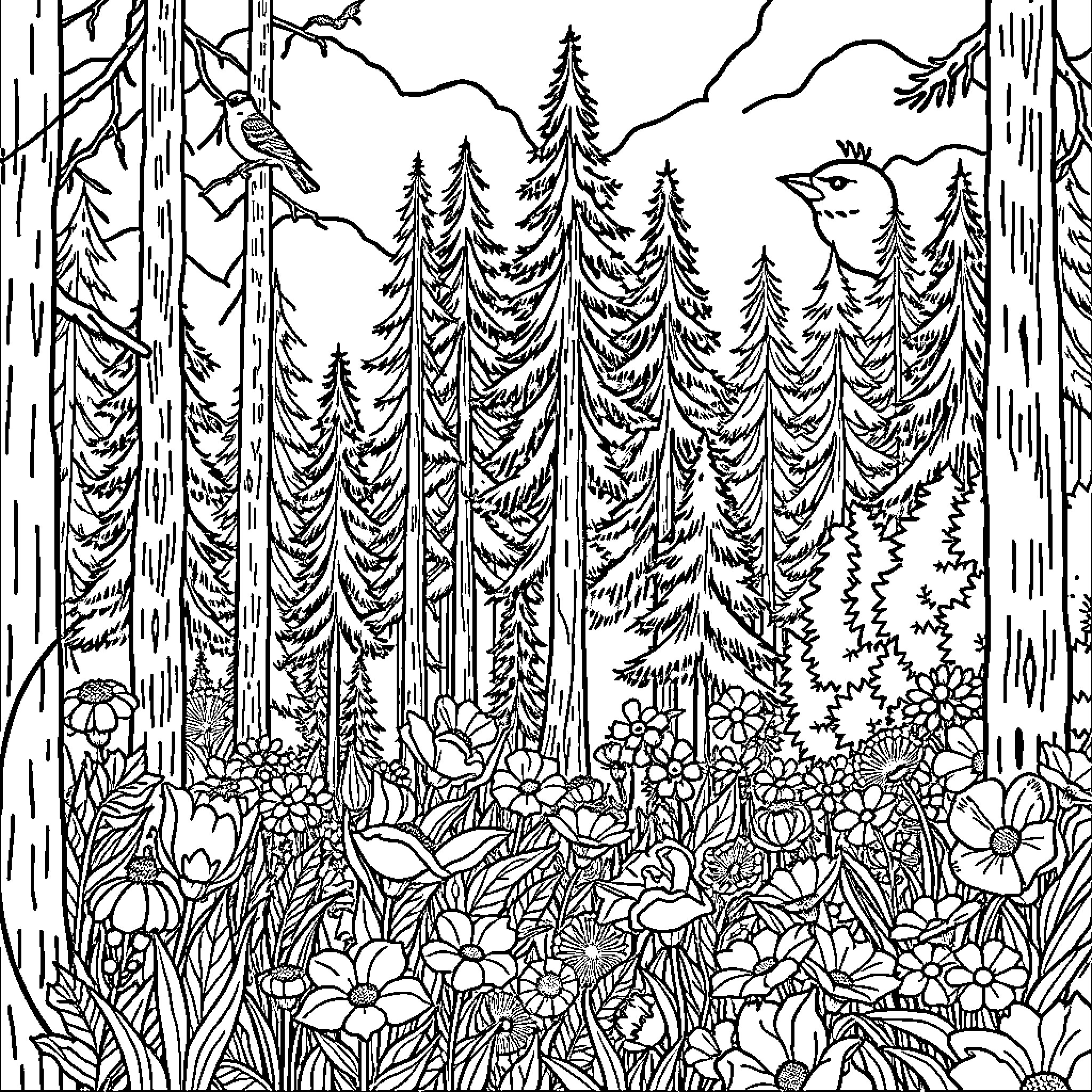 Forest with diverse flora and fauna Coloring Page (free black-and-white line drawing printable PDF for all, from beginners to advanced learners, including children, teens, adults, and seniors)
