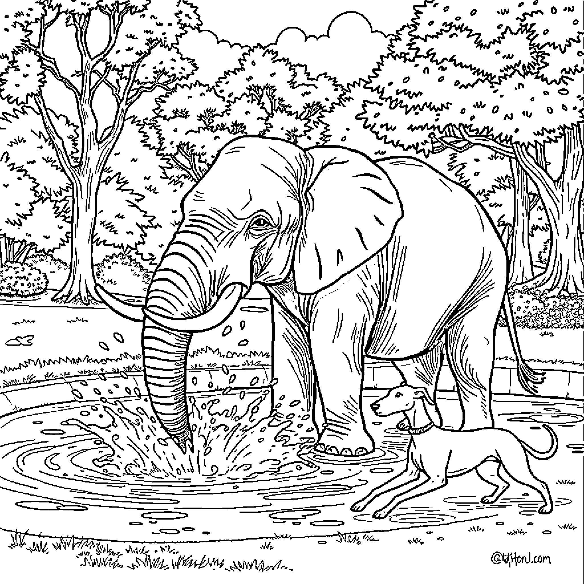 Elephant standing in the water with a dog Coloring Page (free black-and-white line drawing printable PDF for all, from beginners to advanced learners, including children, teens, adults, and seniors)