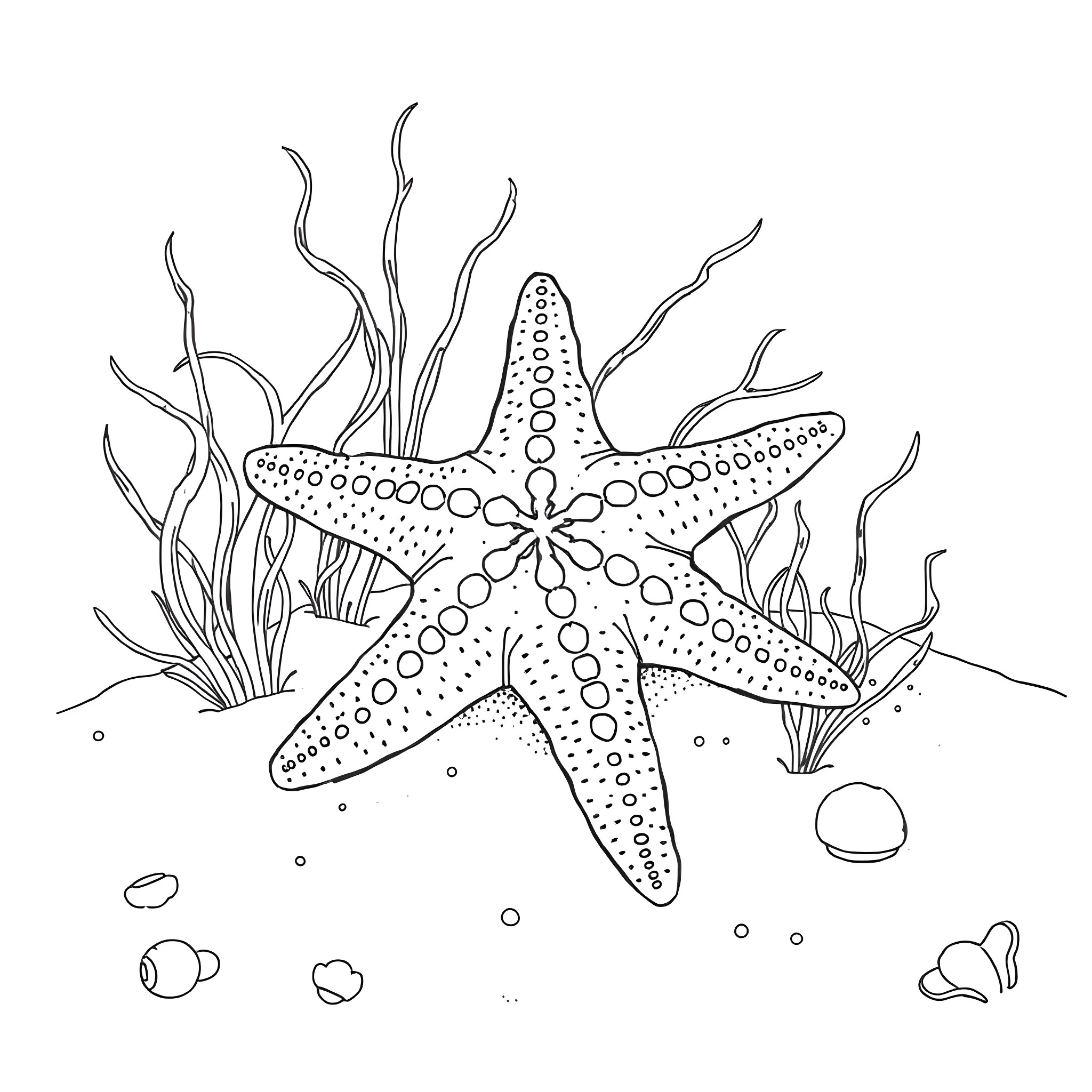 Starfish resting among seaweed and shells Coloring Page (free black-and-white line drawing printable PDF for all, from beginners to advanced learners, including children, teens, adults, and seniors)