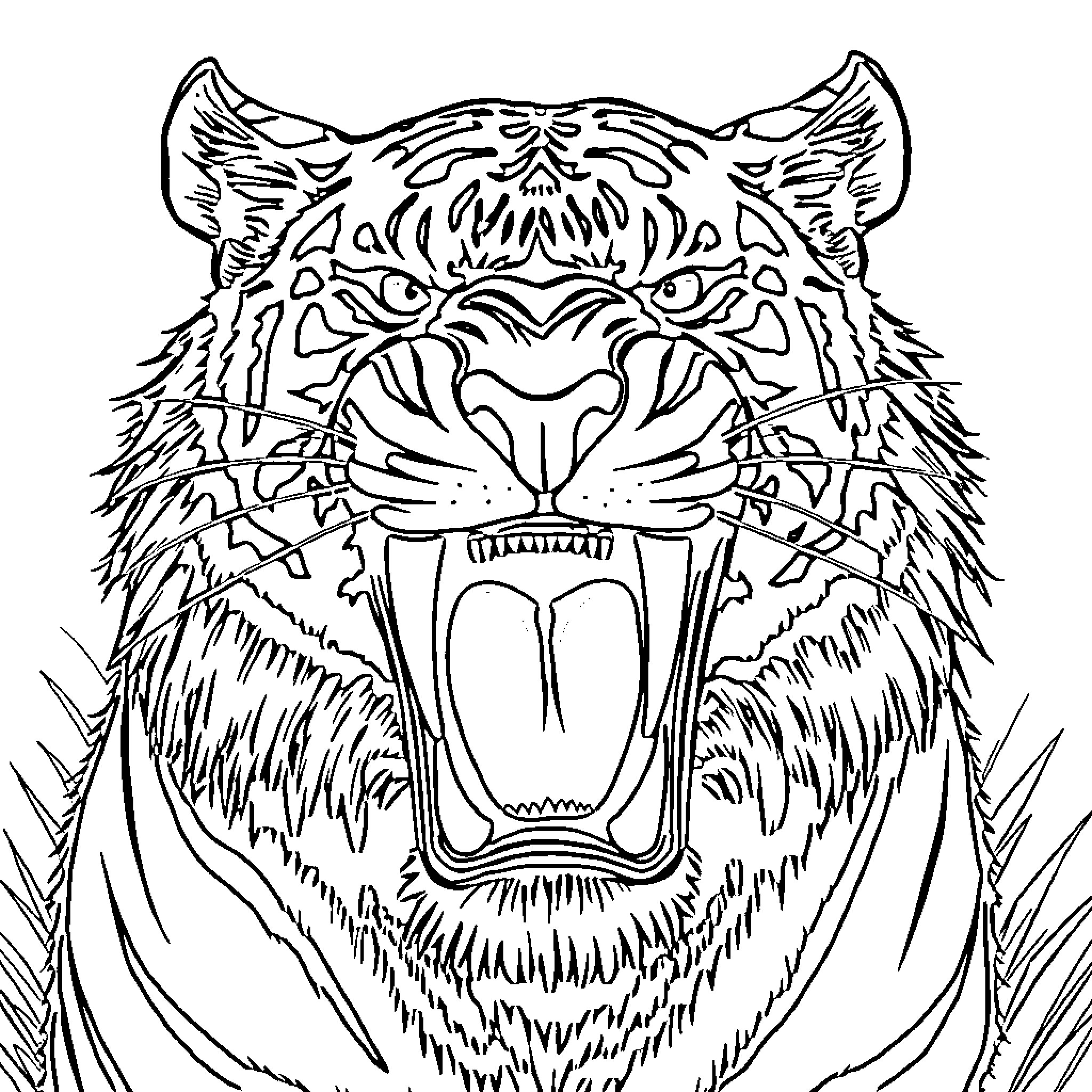 Saber Tooth Tiger Snarling Aggressively Coloring Page (free black-and-white line drawing printable PDF for all, from beginners to advanced learners, including children, teens, adults, and seniors)