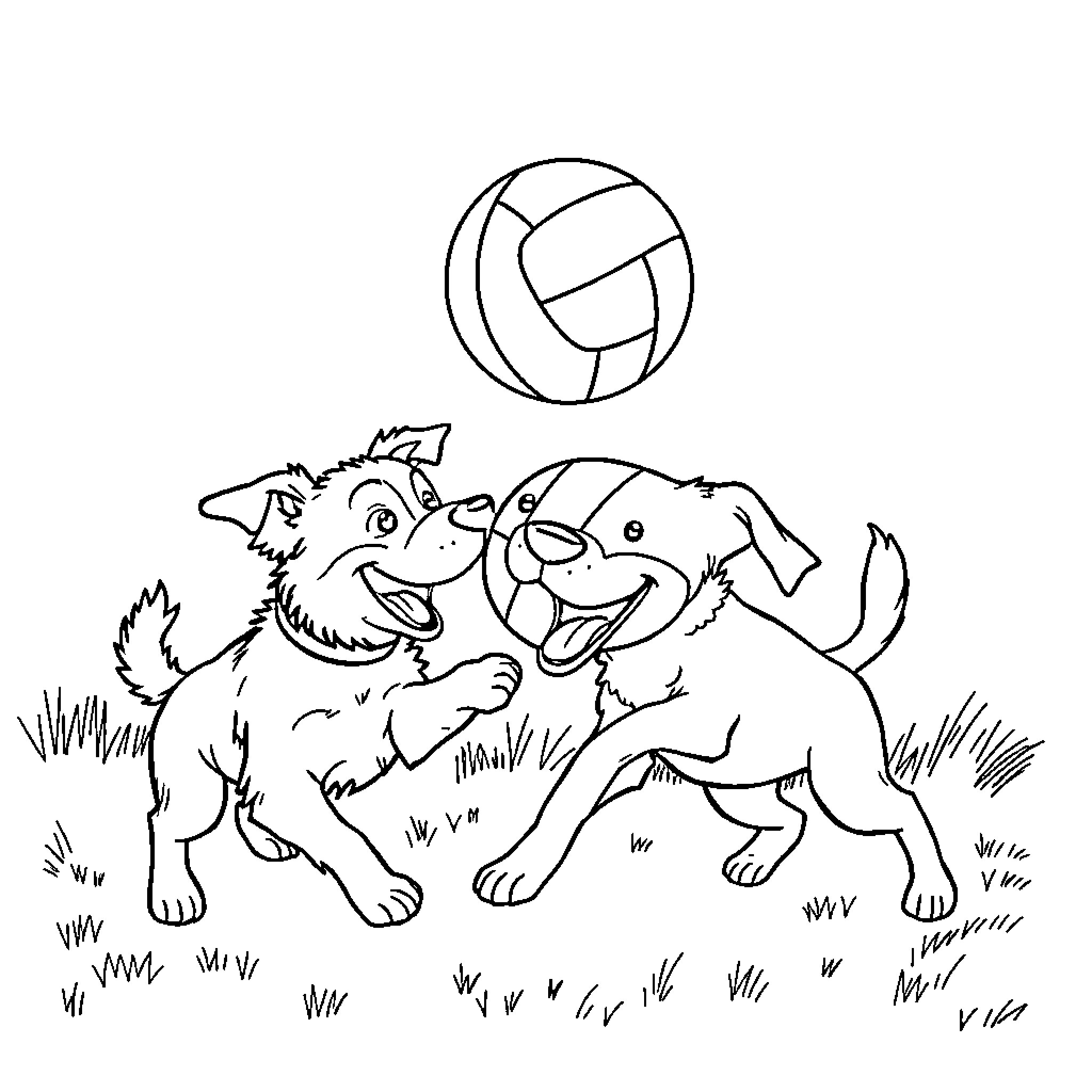 Dogs playing happily with volleyball in the park Coloring Page (free black-and-white line drawing printable PDF for all, from beginners to advanced learners, including children, teens, adults, and seniors)