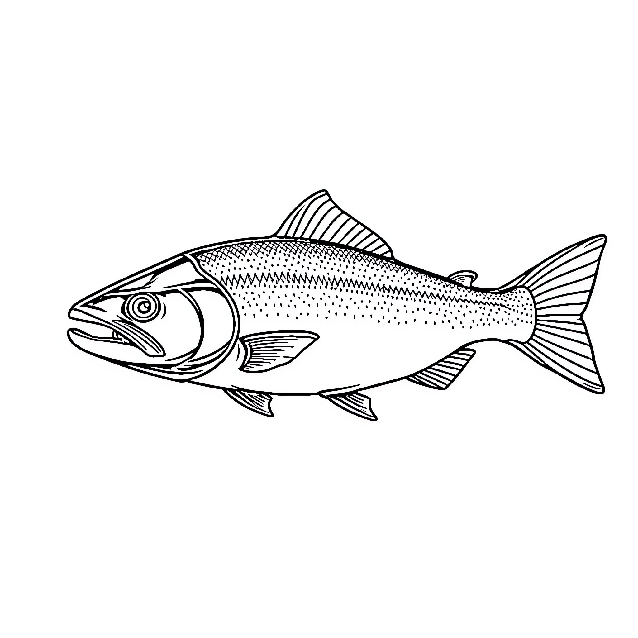 Salmon swimming gracefully Coloring Page (free black-and-white line drawing printable PDF for all, from beginners to advanced learners, including children, teens, adults, and seniors)