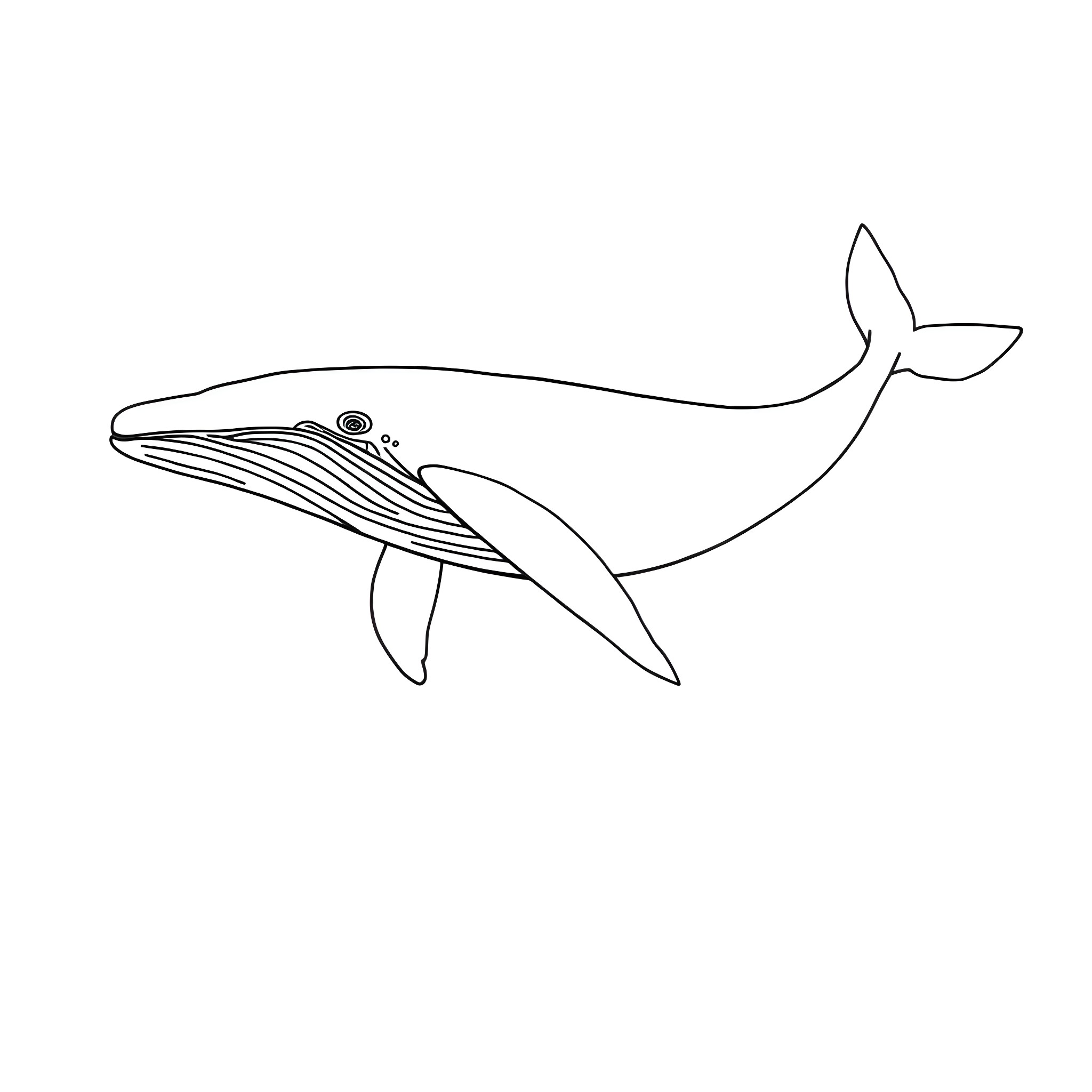 Whale swimming gracefully through the sea Coloring Page (free black-and-white line drawing printable PDF for all, from beginners to advanced learners, including children, teens, adults, and seniors)