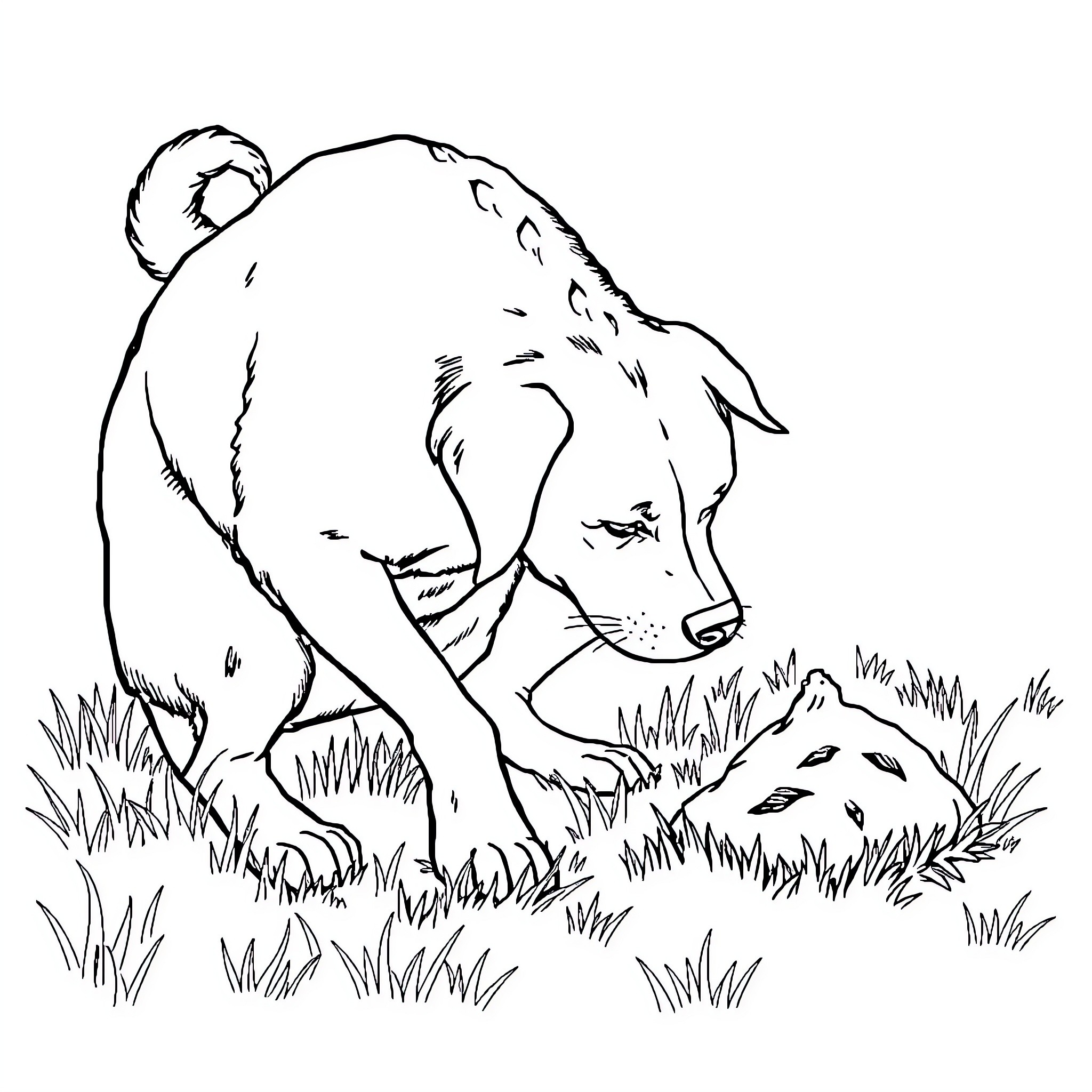 Dog sniffing around in the grass Coloring Page (free black-and-white line drawing printable PDF for all, from beginners to advanced learners, including children, teens, adults, and seniors)