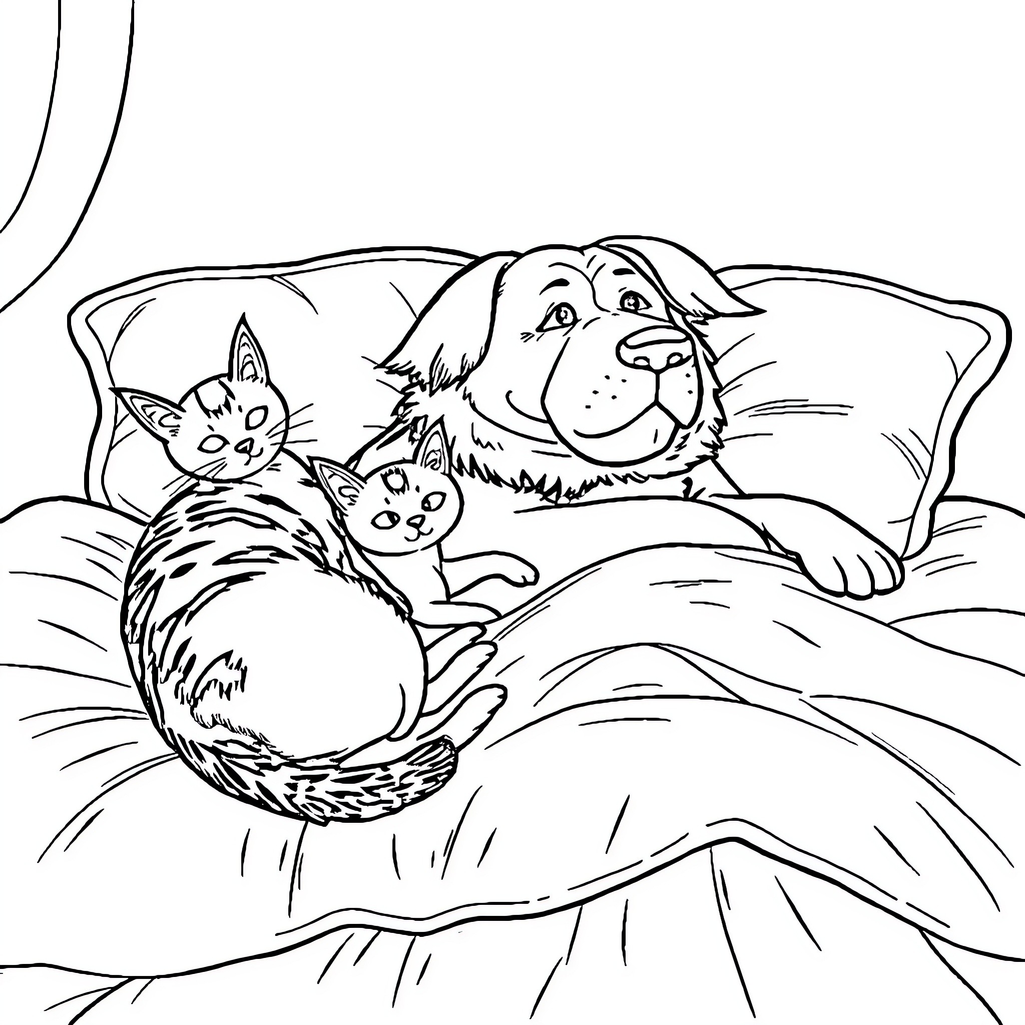 Dog and Cats Cuddling on the Bed Coloring Page (free black-and-white line drawing printable PDF for all, from beginners to advanced learners, including children, teens, adults, and seniors)